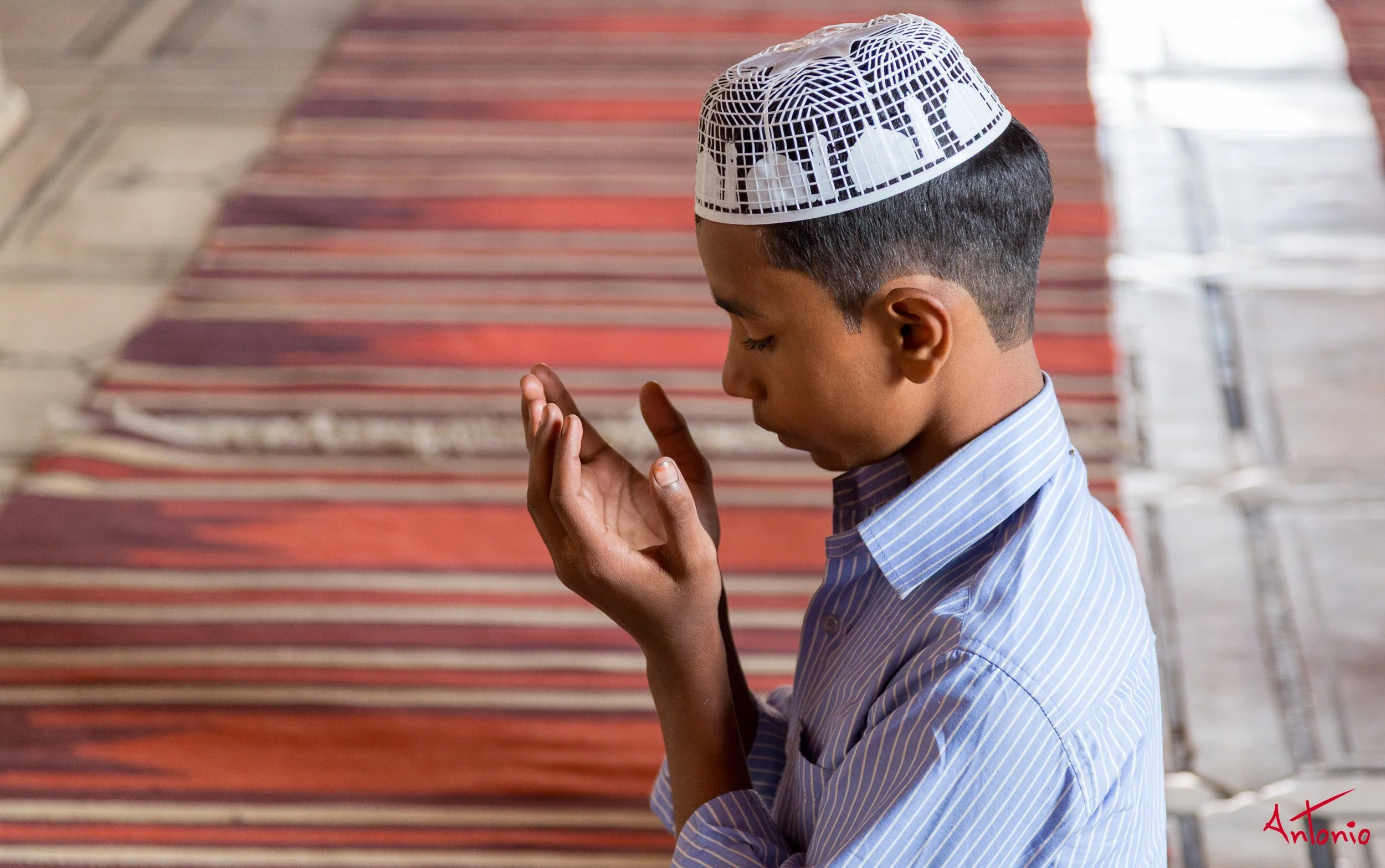 20121120_114214 Delhi.jpg