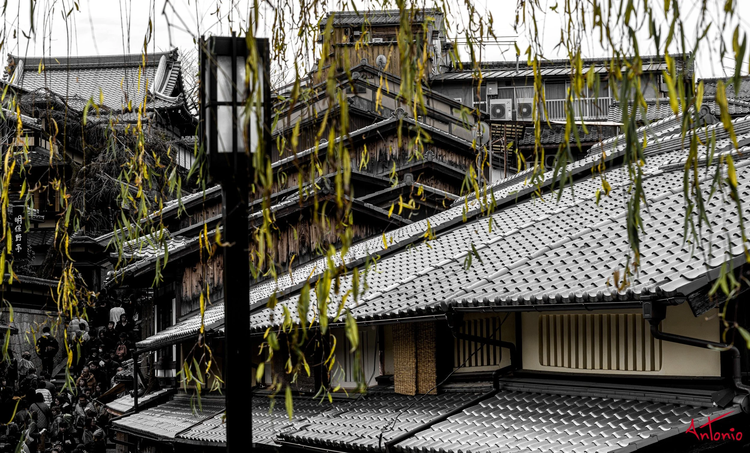 20240103_112054 B0001543 Kyoto, Japan.jpg