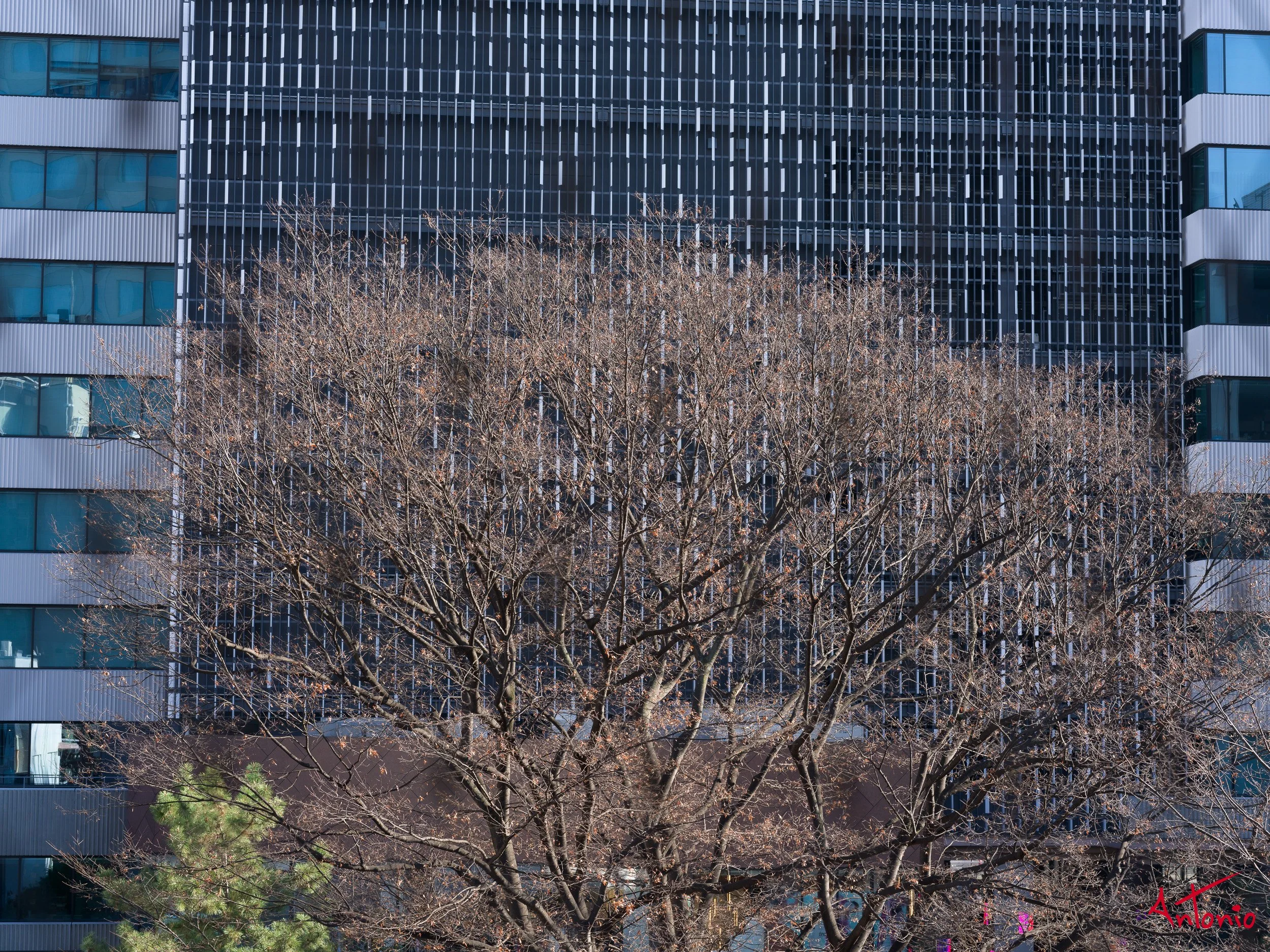 20240123_164533 B0002569 Tokyo.jpg