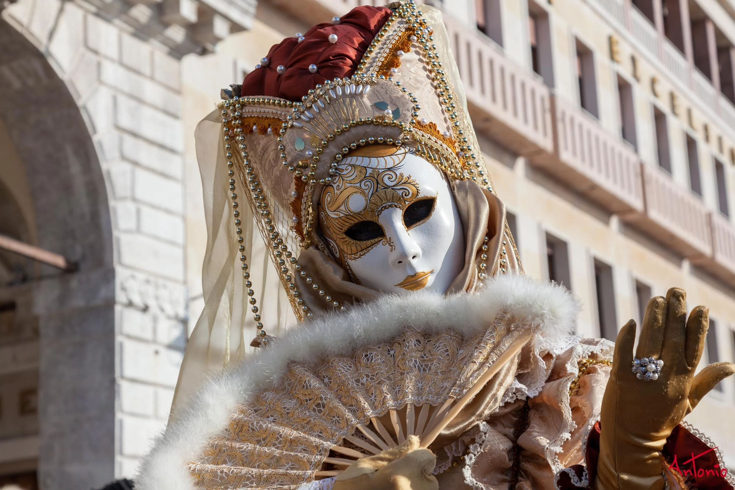 20120217_100655 Carnaval de venecia.jpg