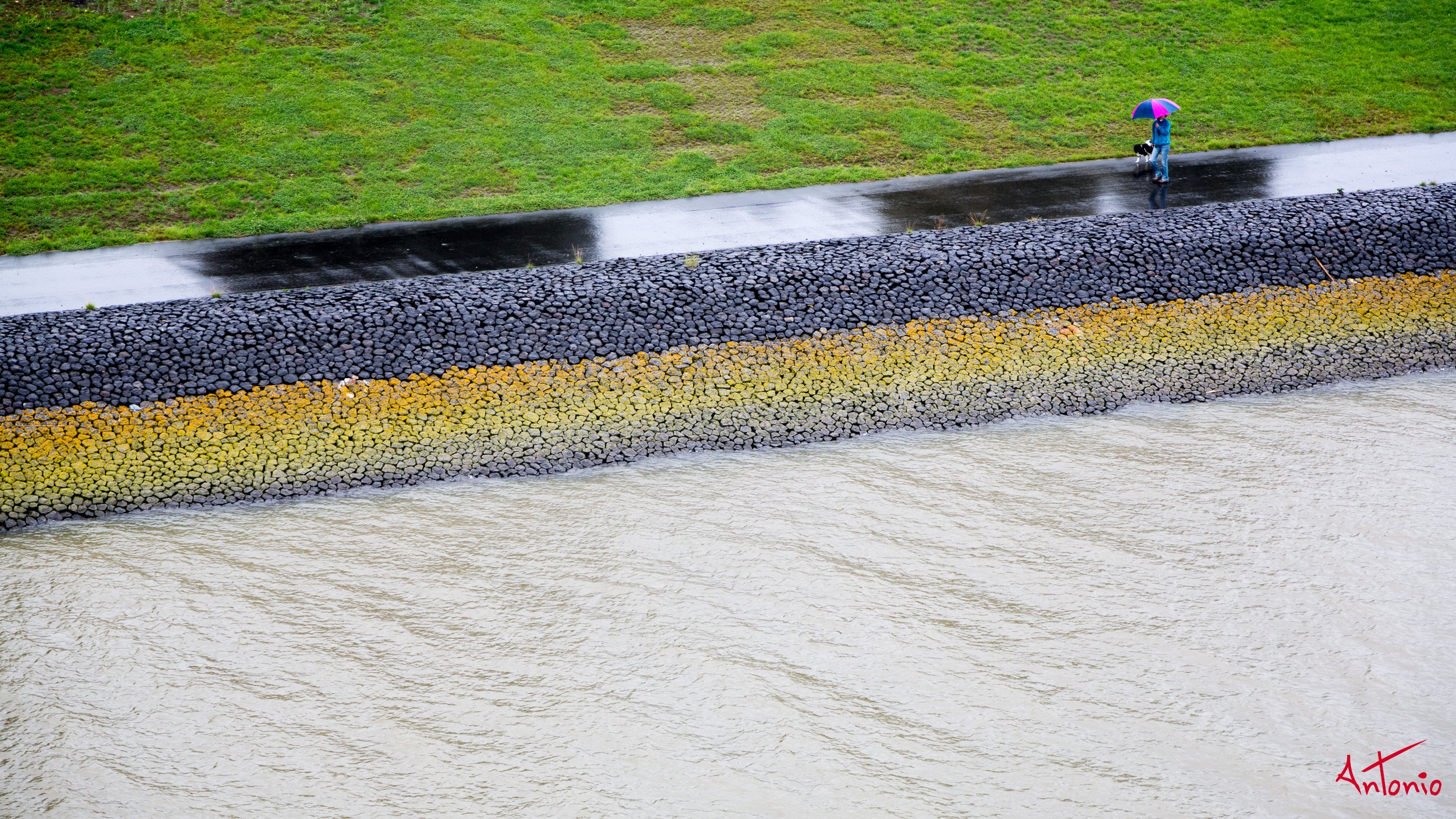 20130909_160813 SilverWhisper.jpg