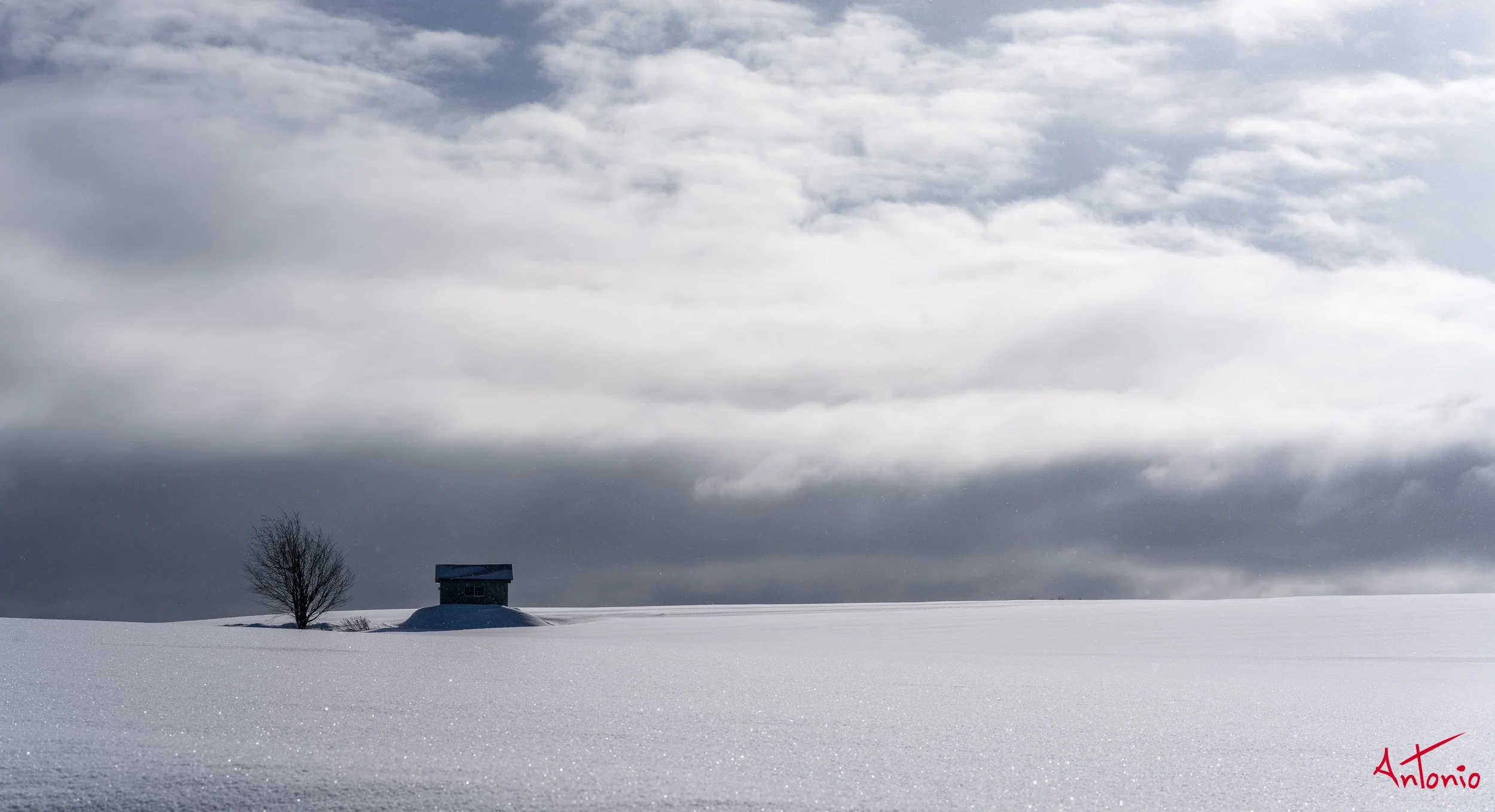 20240107_191130 B0002760 Hokaido, Japan.jpg