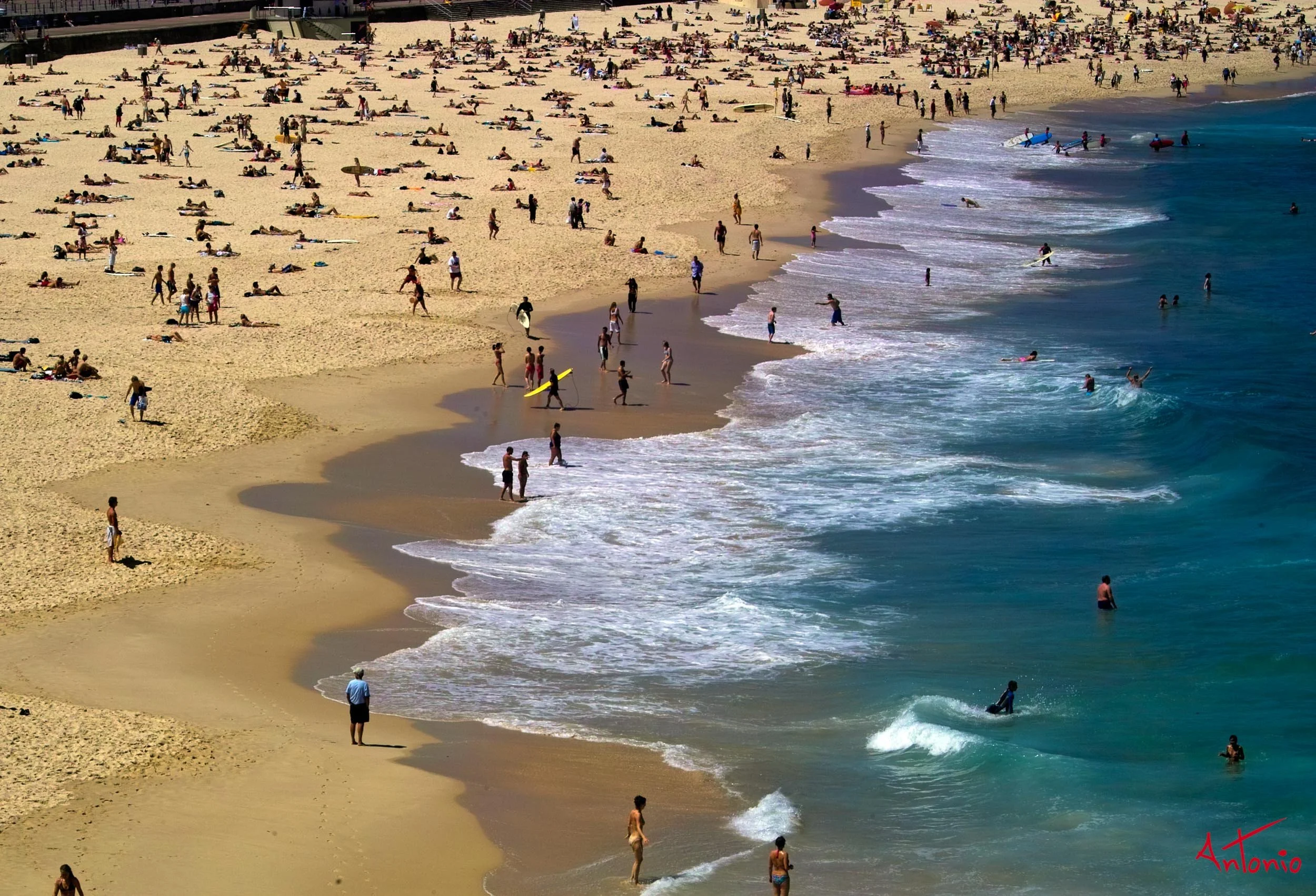 20031119_142630 Sydney.jpg