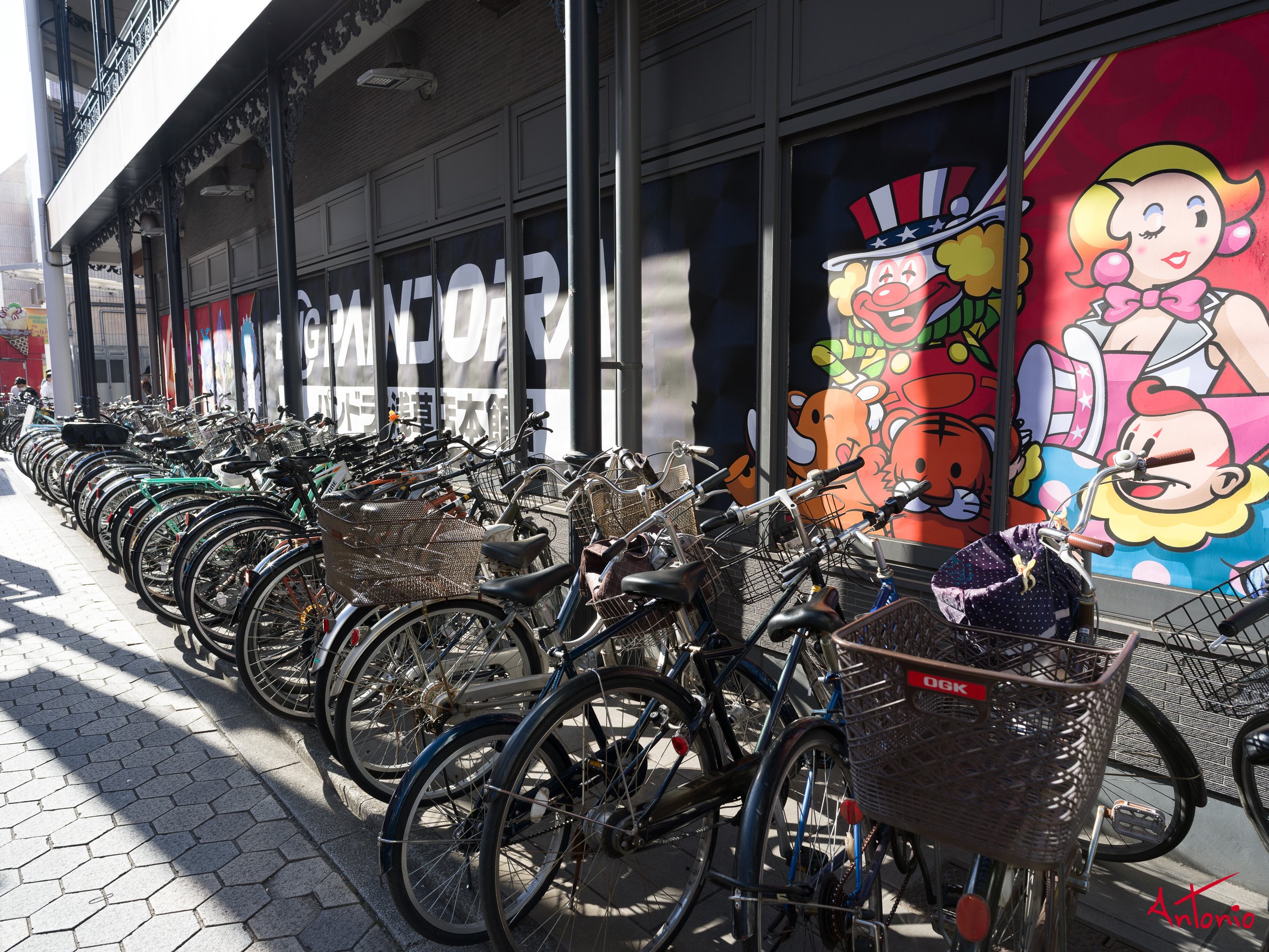 20240123_144541 B0002139 Tokyo.jpg