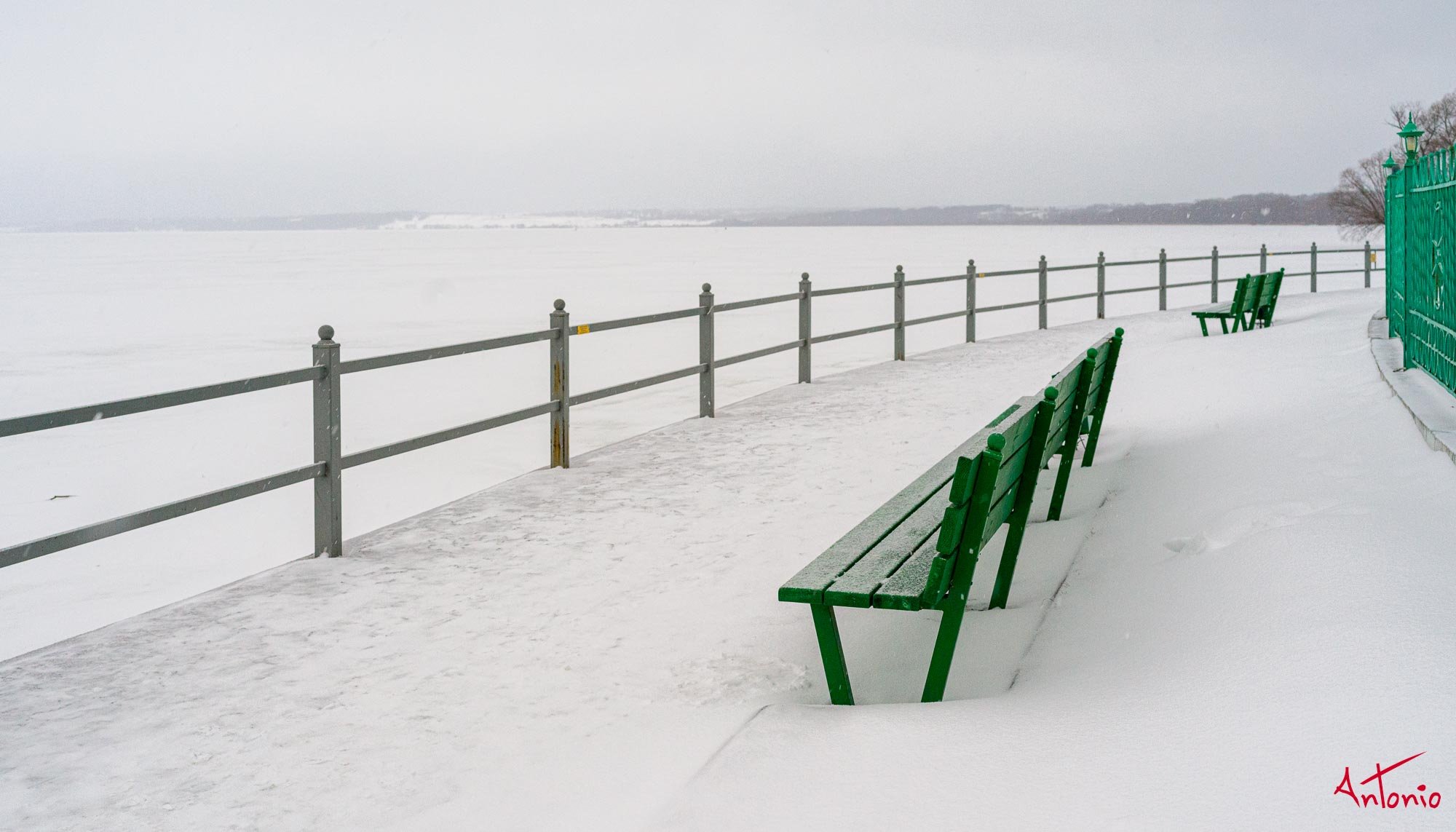 20200211_080723 B0000771 Lago Pleshcheyevo.jpg