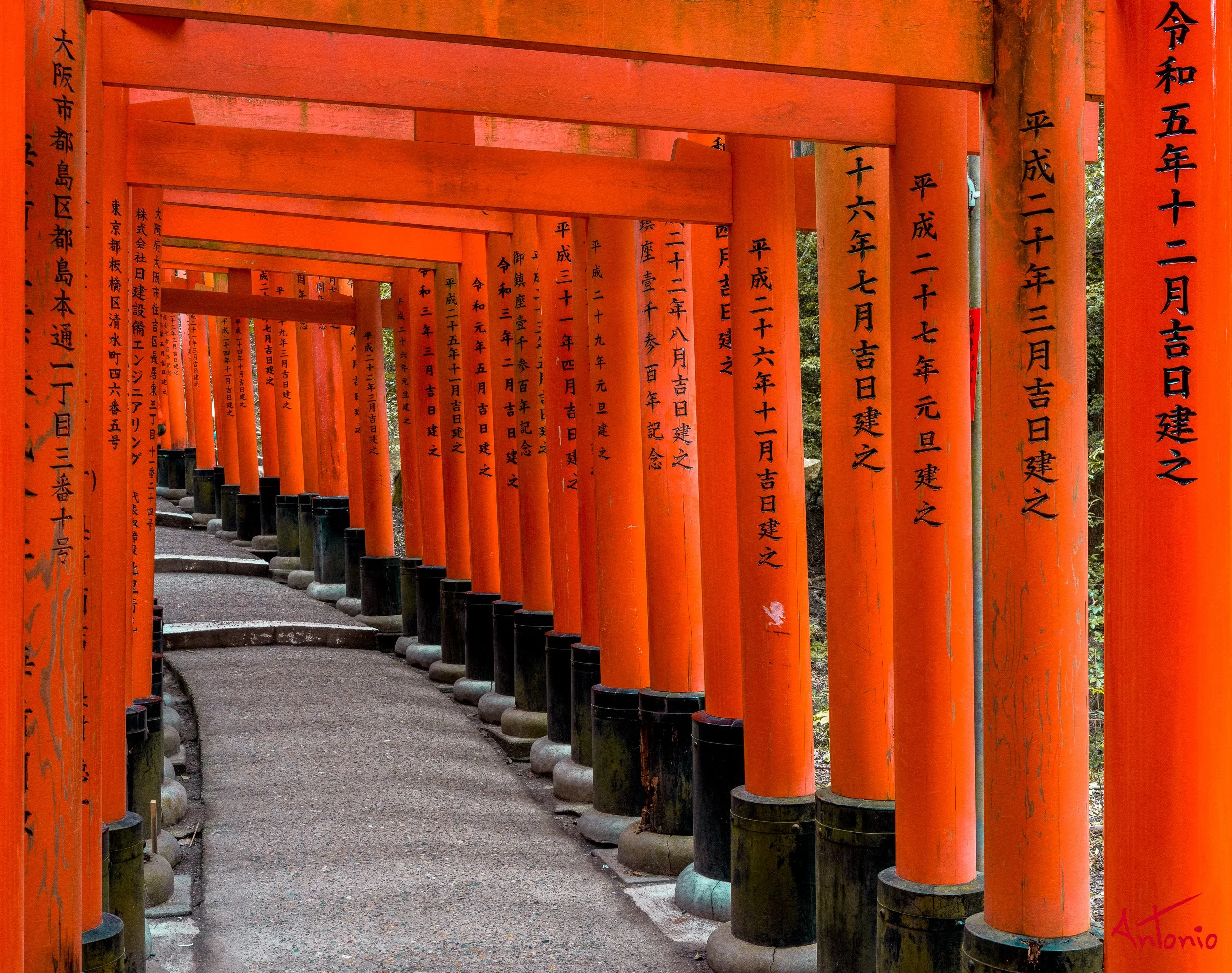 20240103_145108 B0001701 Kyoto, Japan.jpg