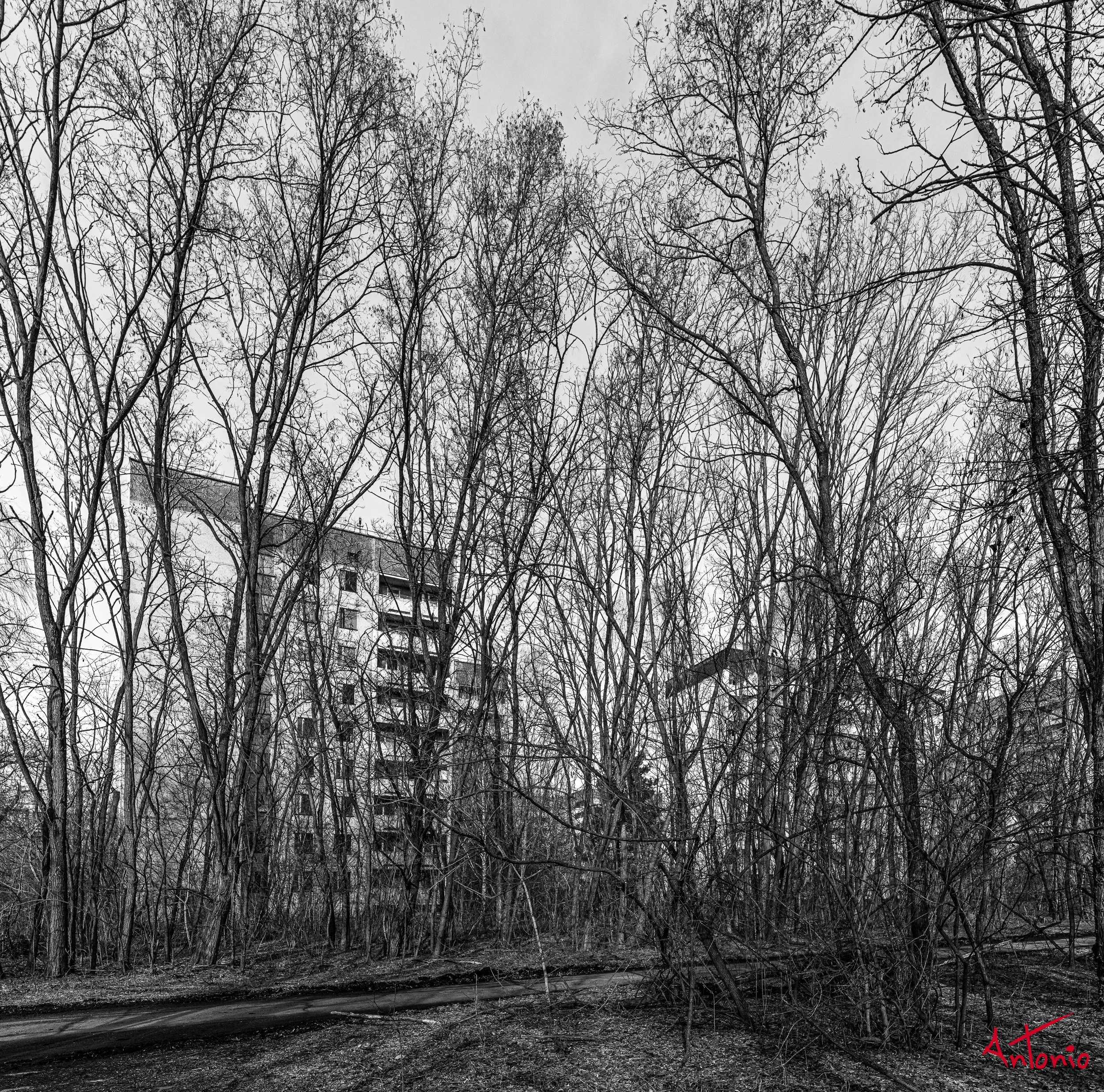 20200217_040002 B0001881 Pripyat, Ucrania.jpg