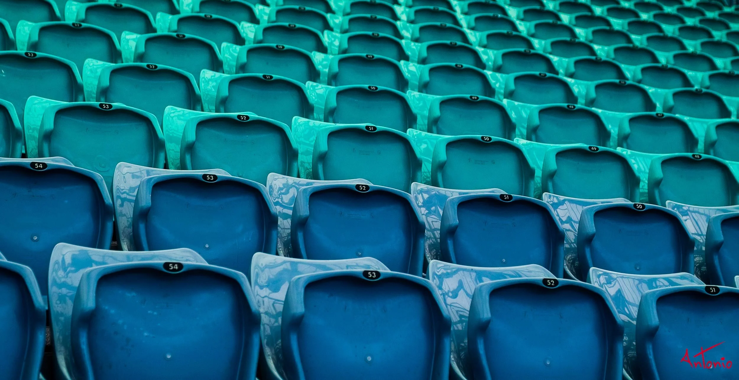 20031205_124751 Sydney.jpg