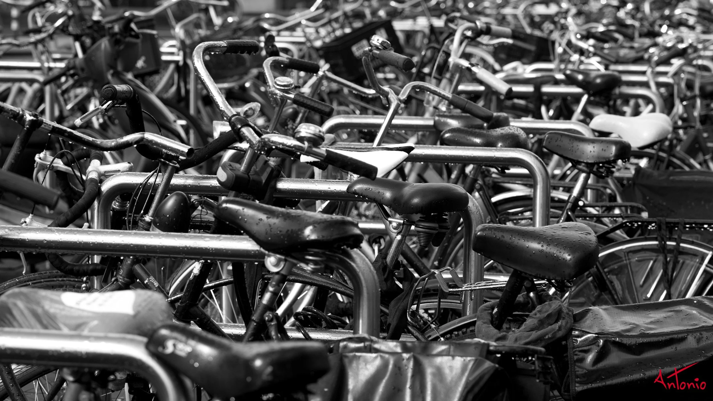 20130910_115933 Amsterdam.jpg