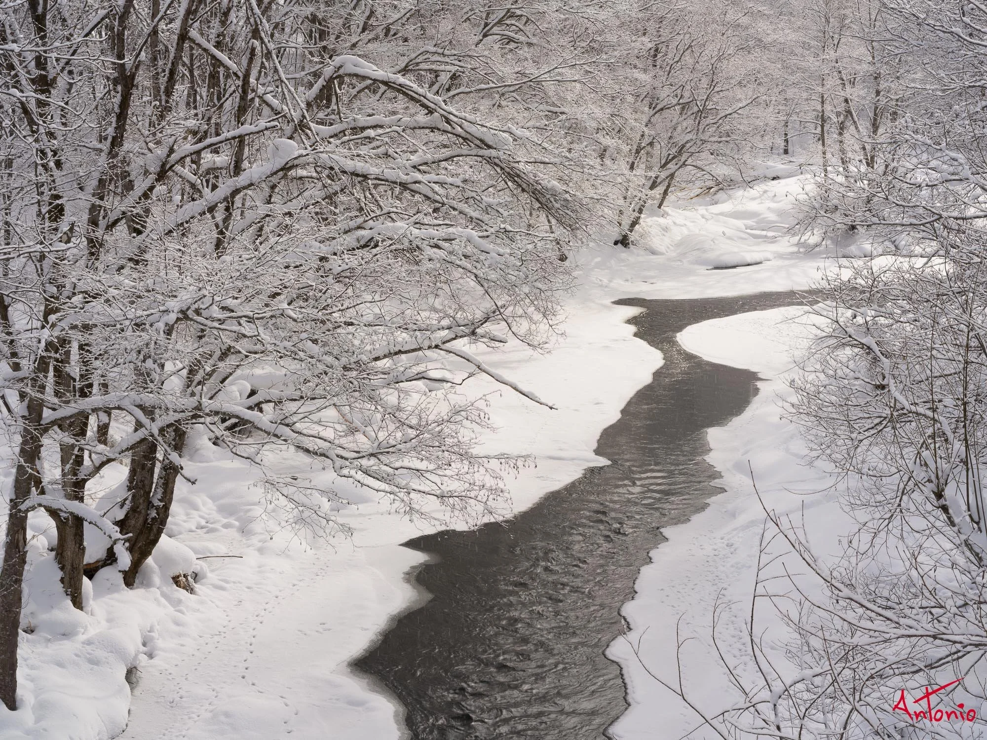 20240117_105559 B0004665 Hokaido.jpg