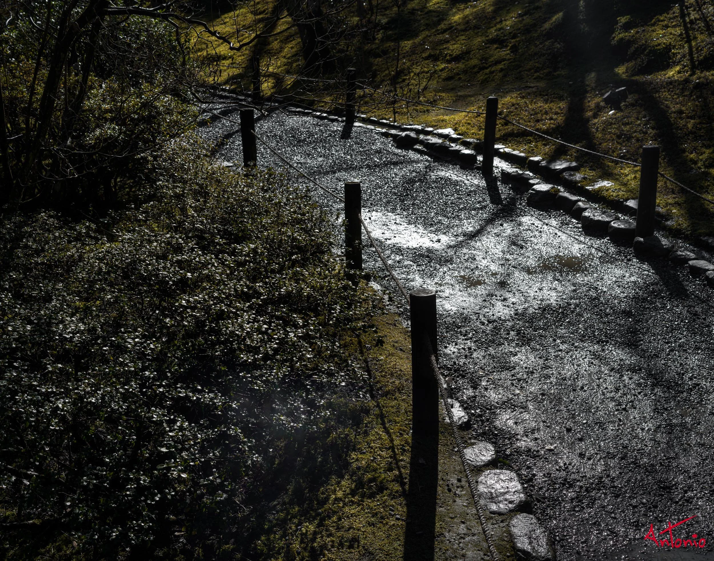 20240104_115551 B0001862 Kyoto.jpg