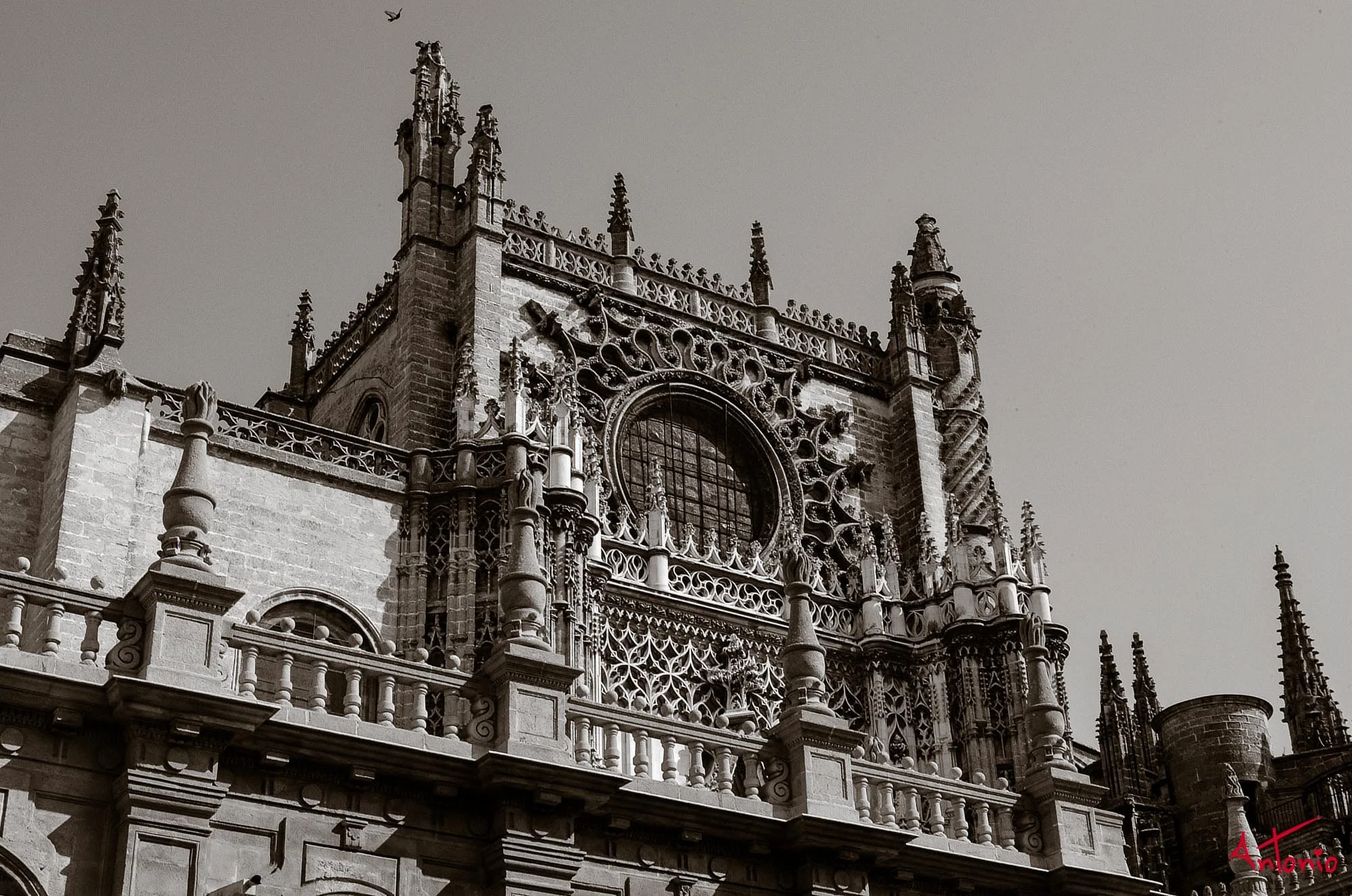 20020329_104909 Sevilla.jpg