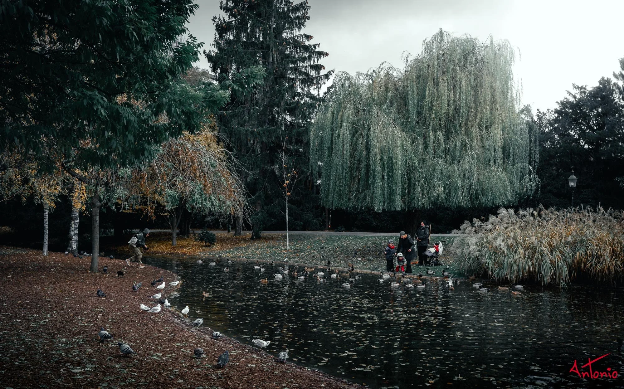 20221126_065338 B0000055 Viena.jpg