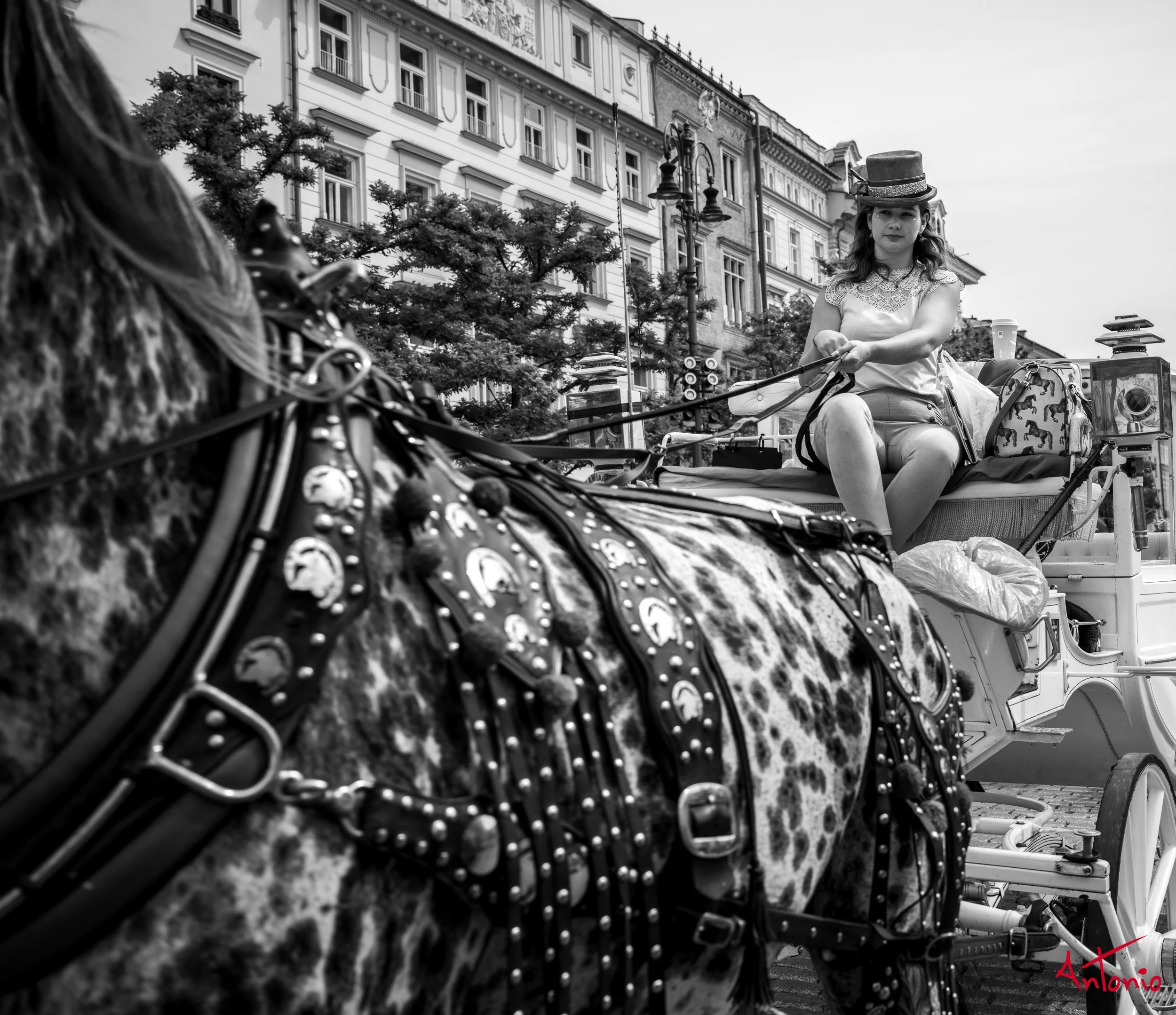 20240822_120252 B0006562 Cracovia, polonia.jpg