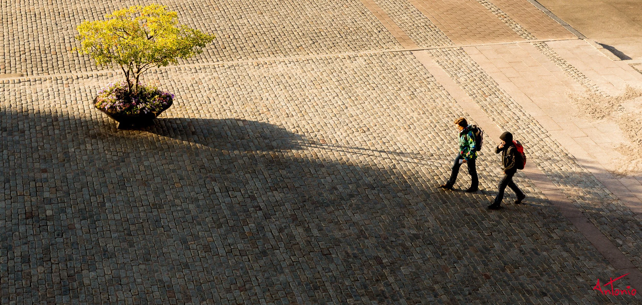 20130901_180622 Estocolmo.jpg