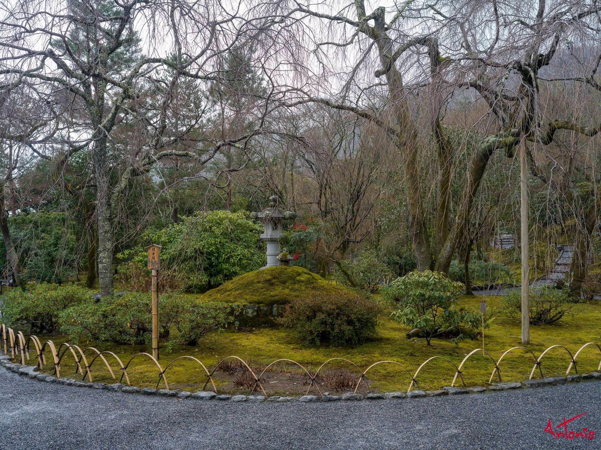 20240104_113009 B0001830 Kyoto.jpg