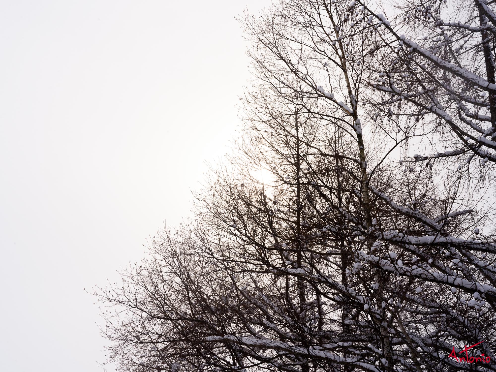 20240116_123742 B0004529 Hokaido.jpg