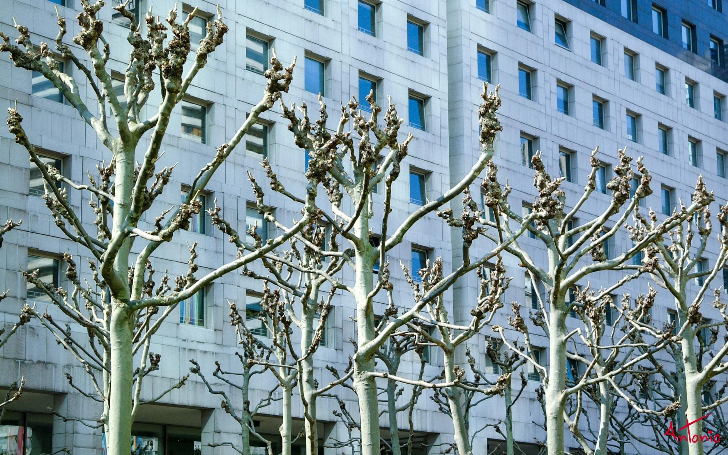 20020324_115822 París.jpg