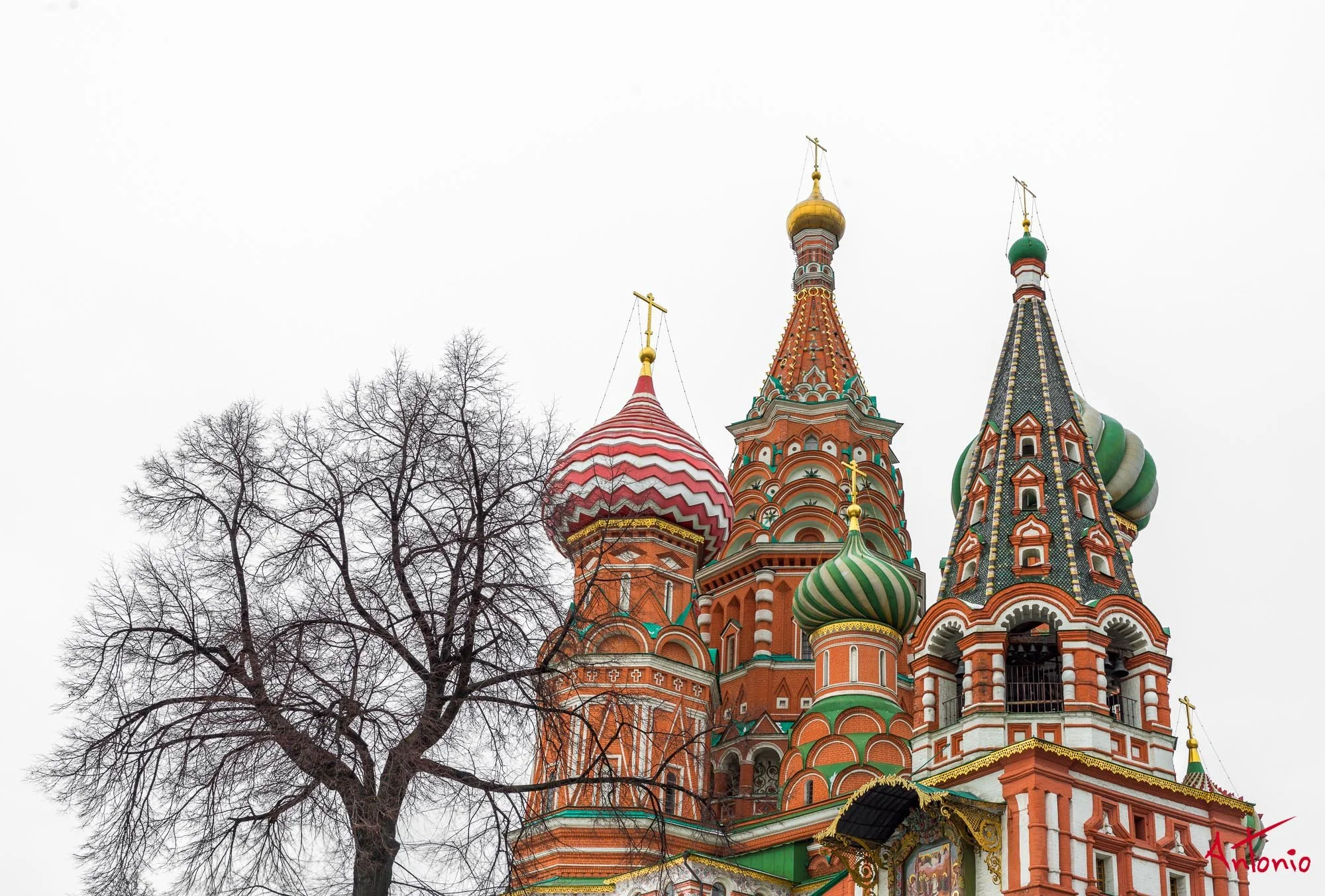 20200209_011107 B0000193 Moscú.jpg