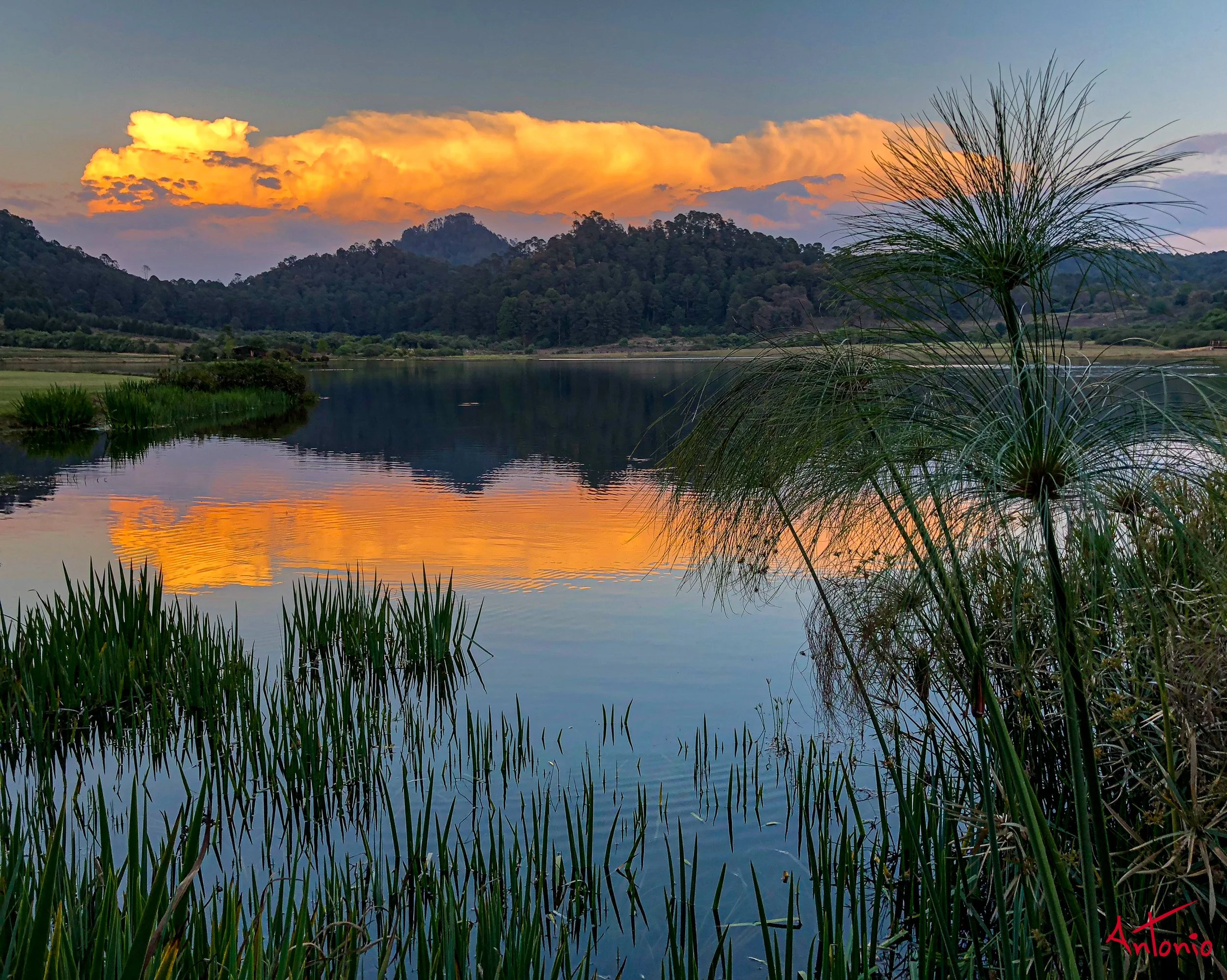 20180311_184142 Rancho Carlos Rojas_2.jpg