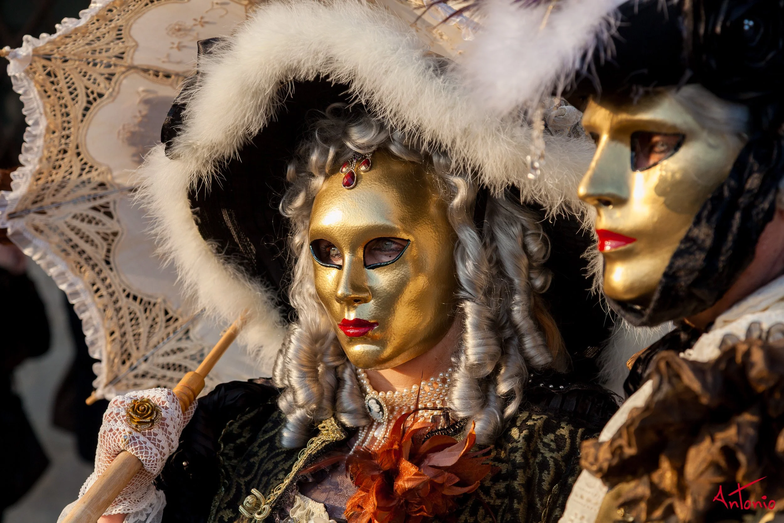 20120216_162156 Carnaval de venecia.jpg