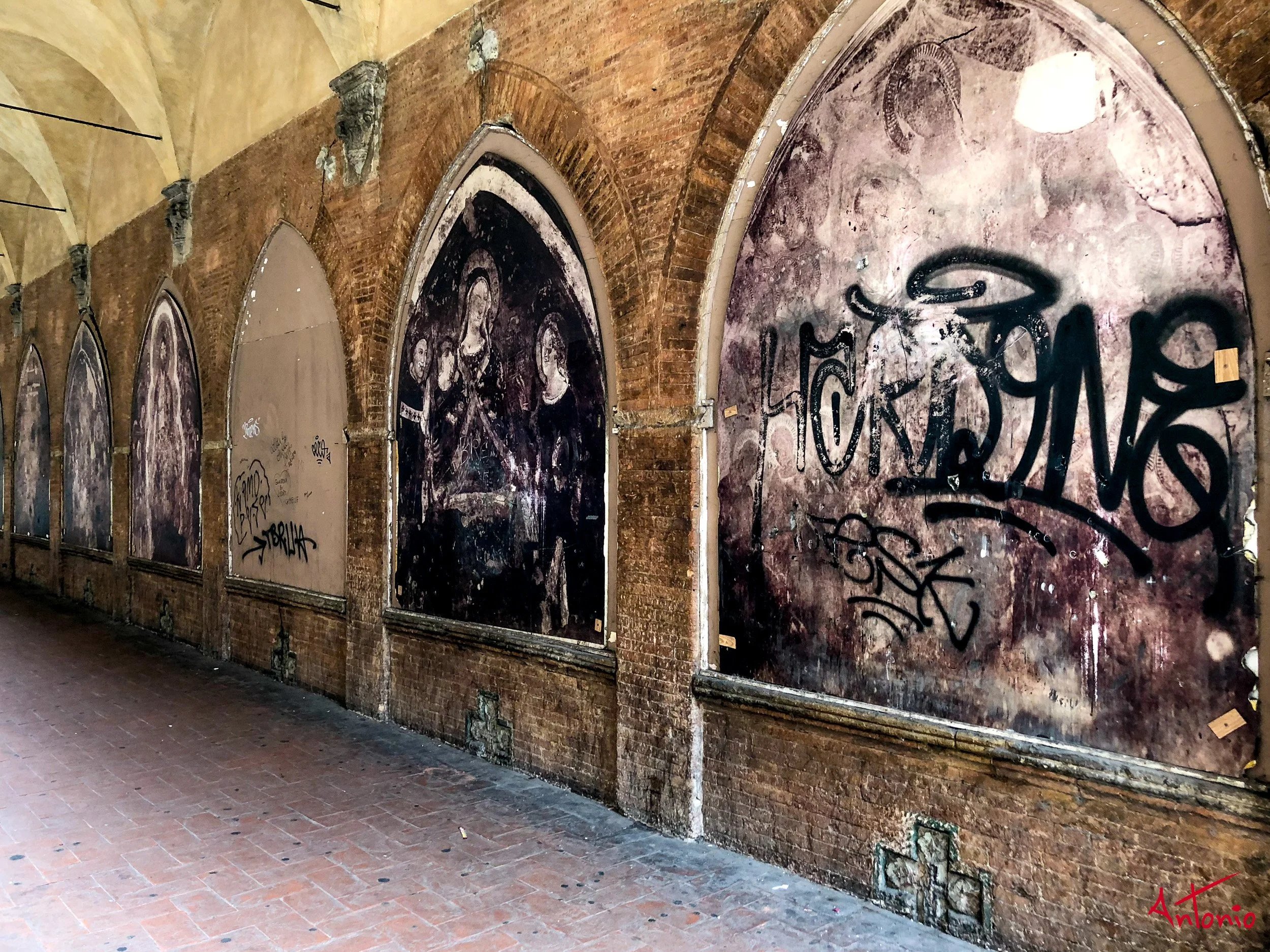 20180126_130423 Bologna.jpg