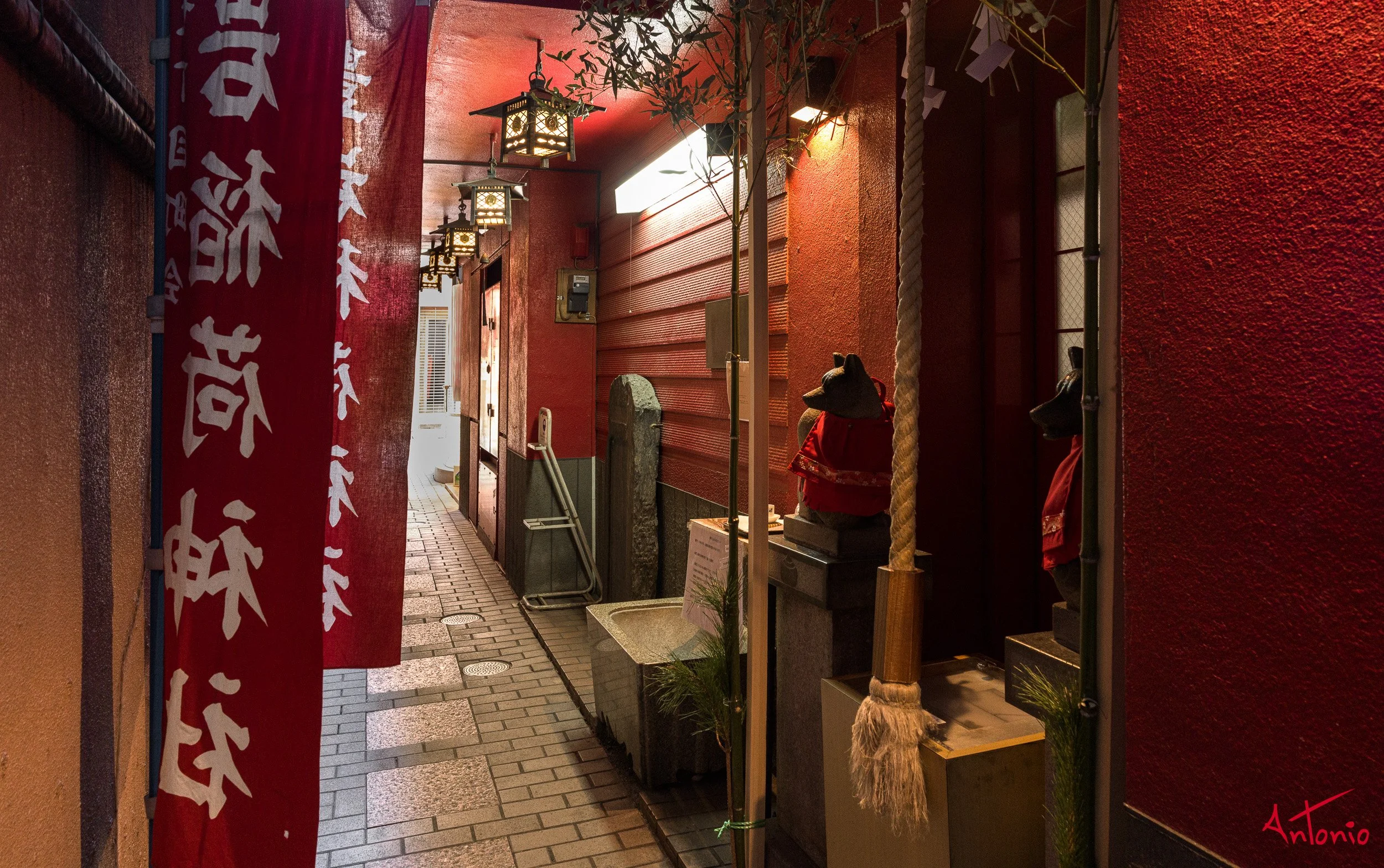 20240123_145224 B0002287 Tokyo.jpg