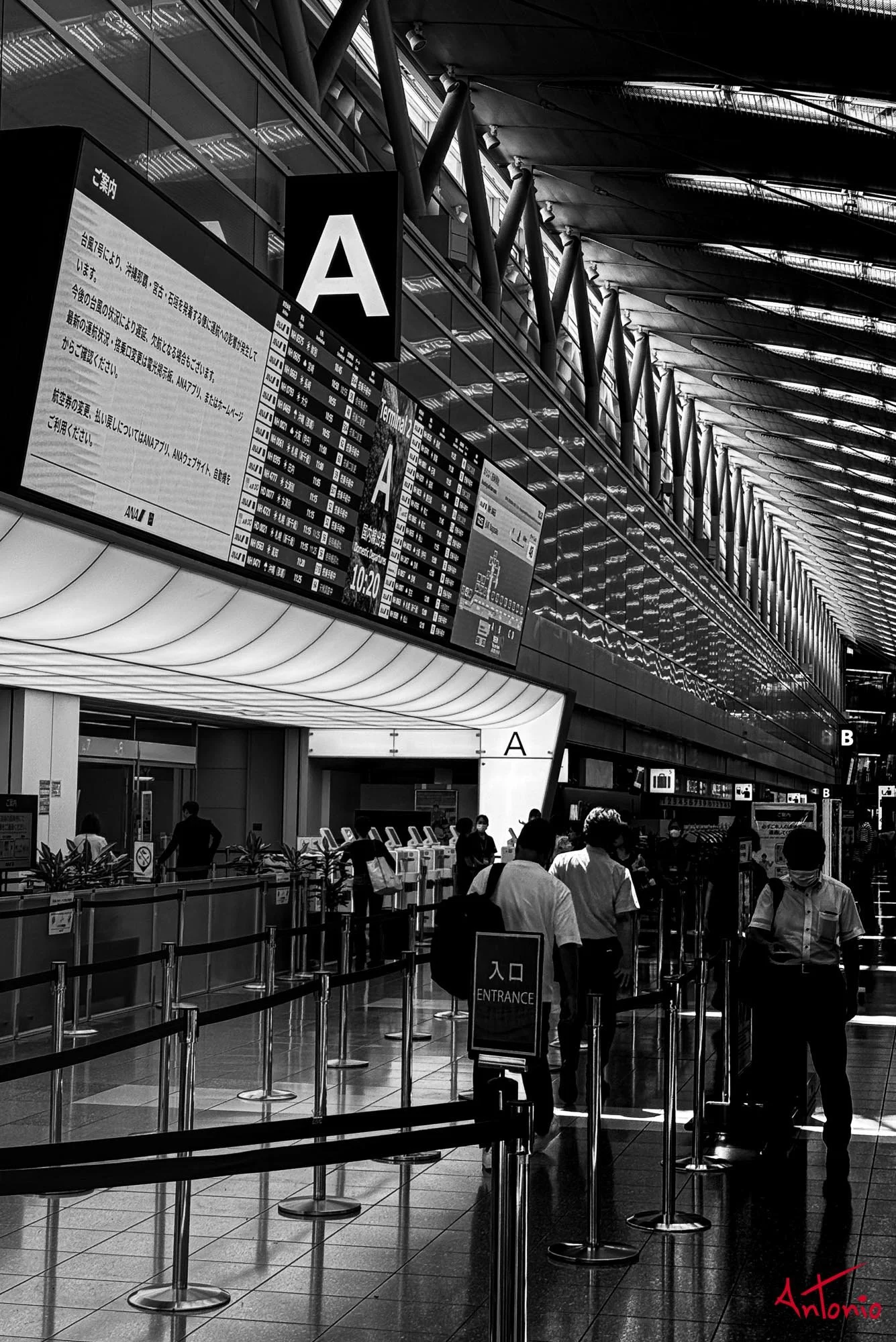 20250724_102049 Tokyo, Japan.jpg