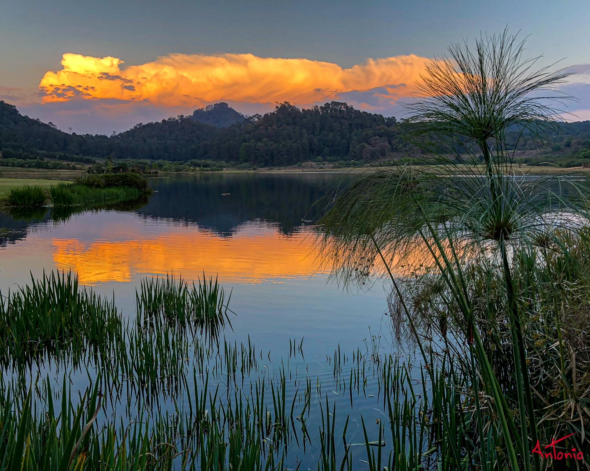 20180311_184142 Rancho Carlos Rojas_2.jpg