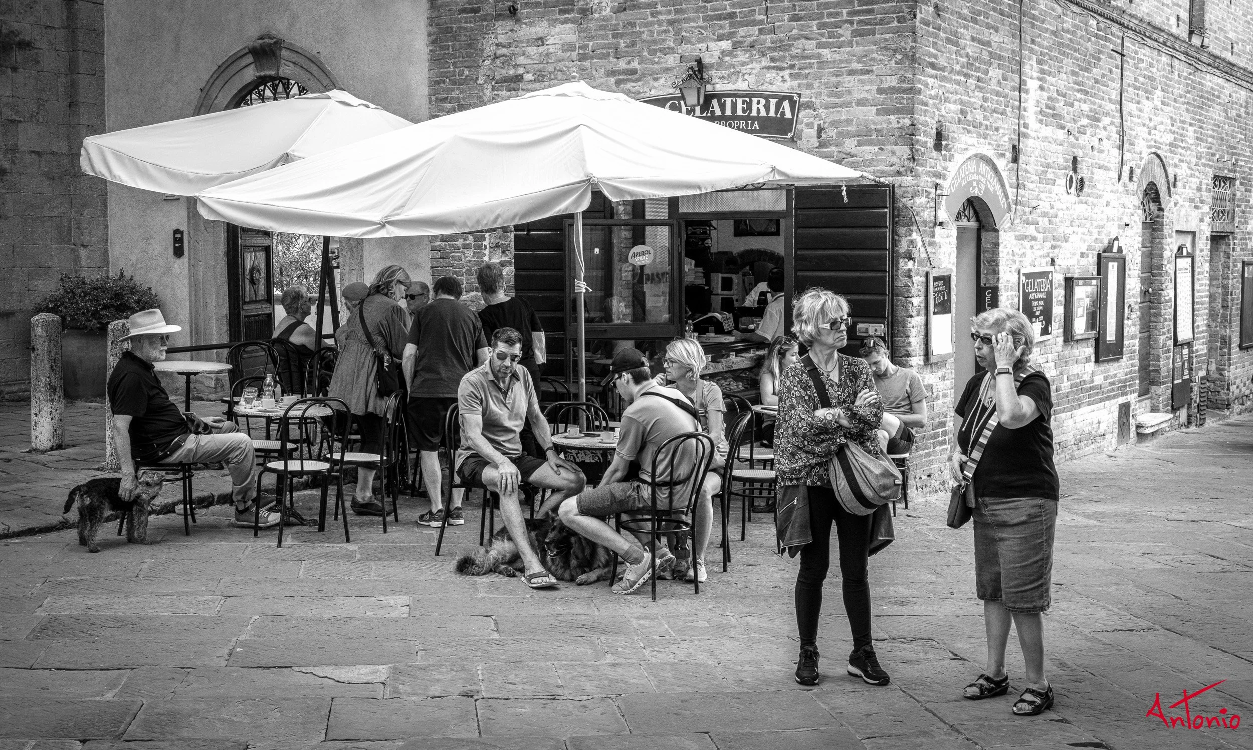 20231003_115320 B0000476 Toscana, Italia.jpg