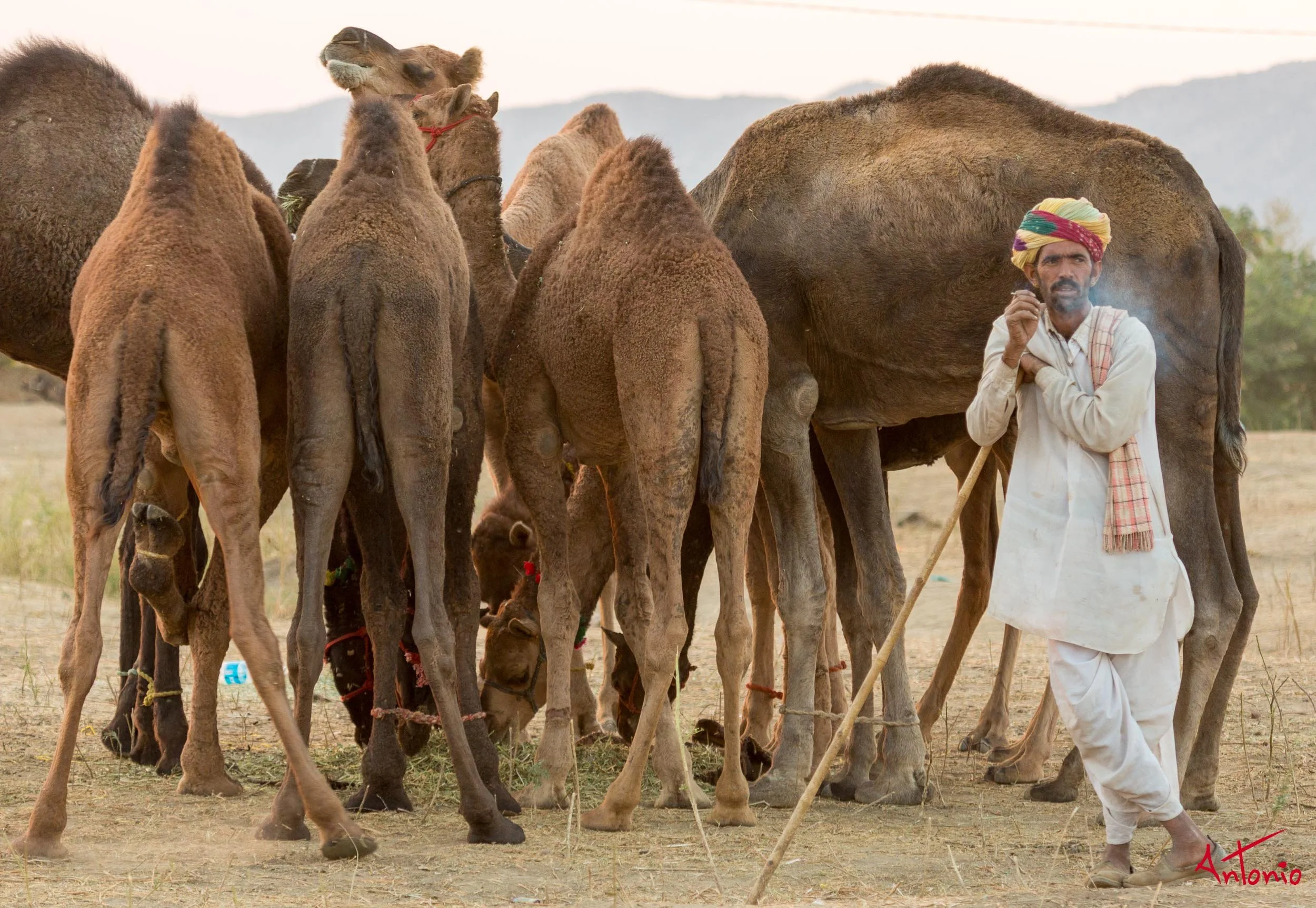 20121124_172806 Pushkar.jpg