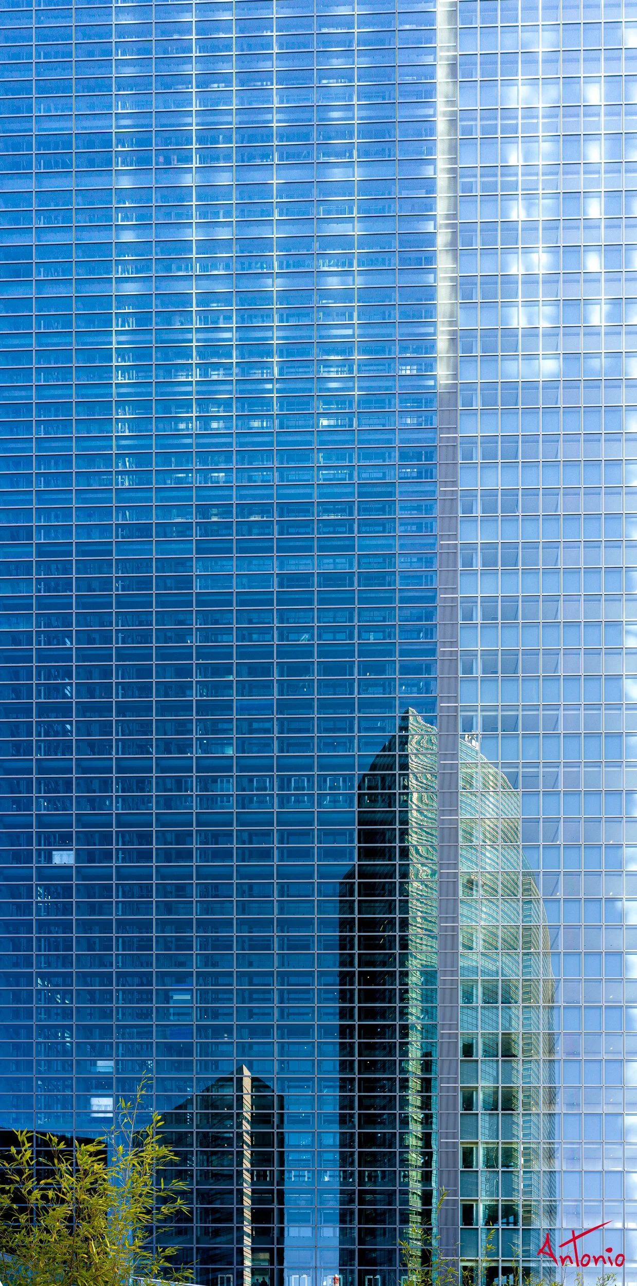 20240123_144923 B0002221 Tokyo.jpg