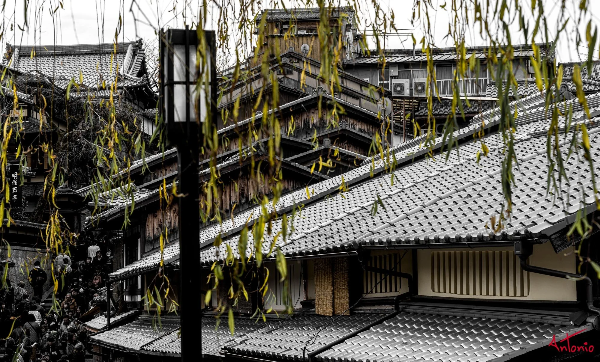 20240103_112054 B0001543 Kyoto.jpg