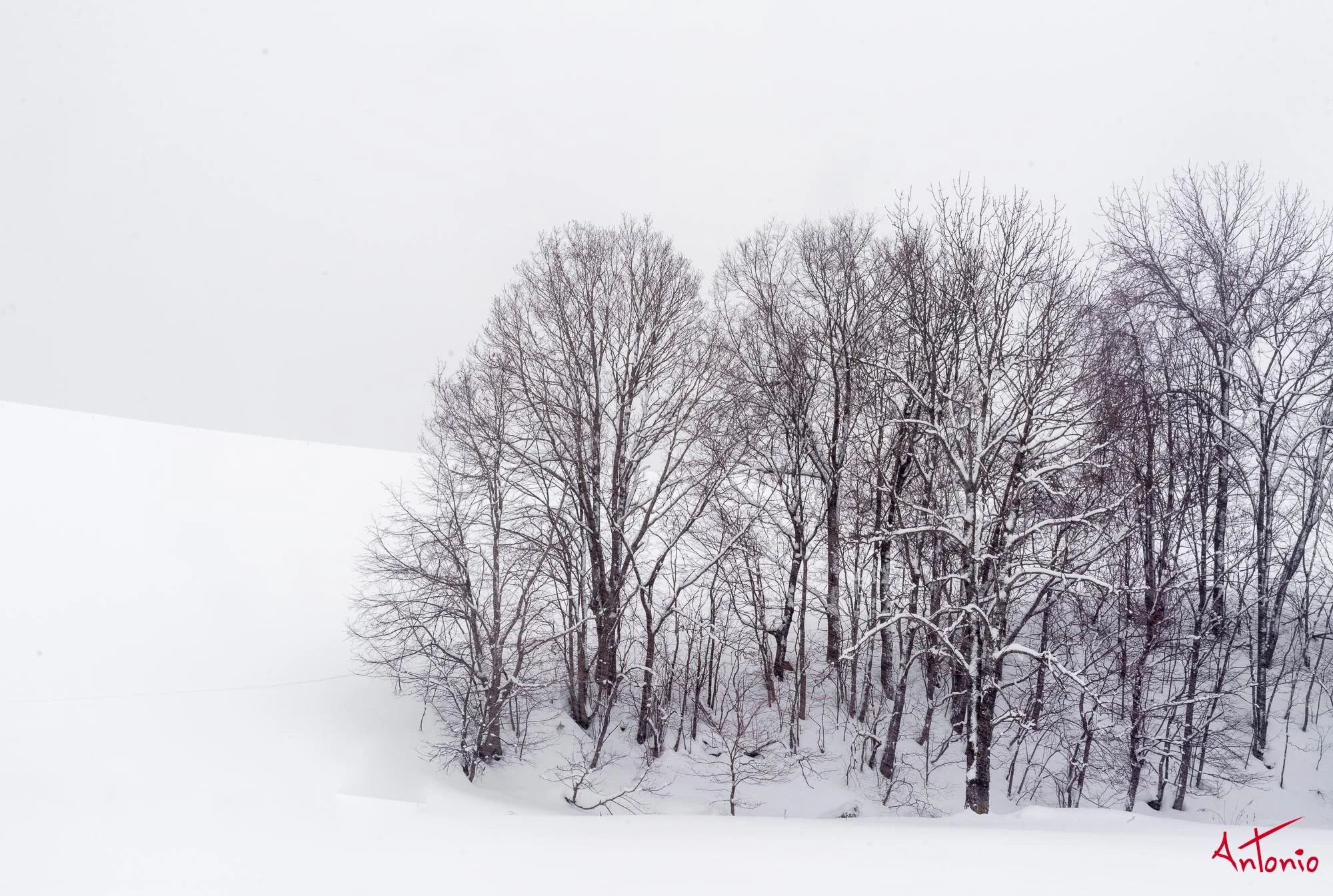 20240116_120844 B0004470 Hokaido.jpg