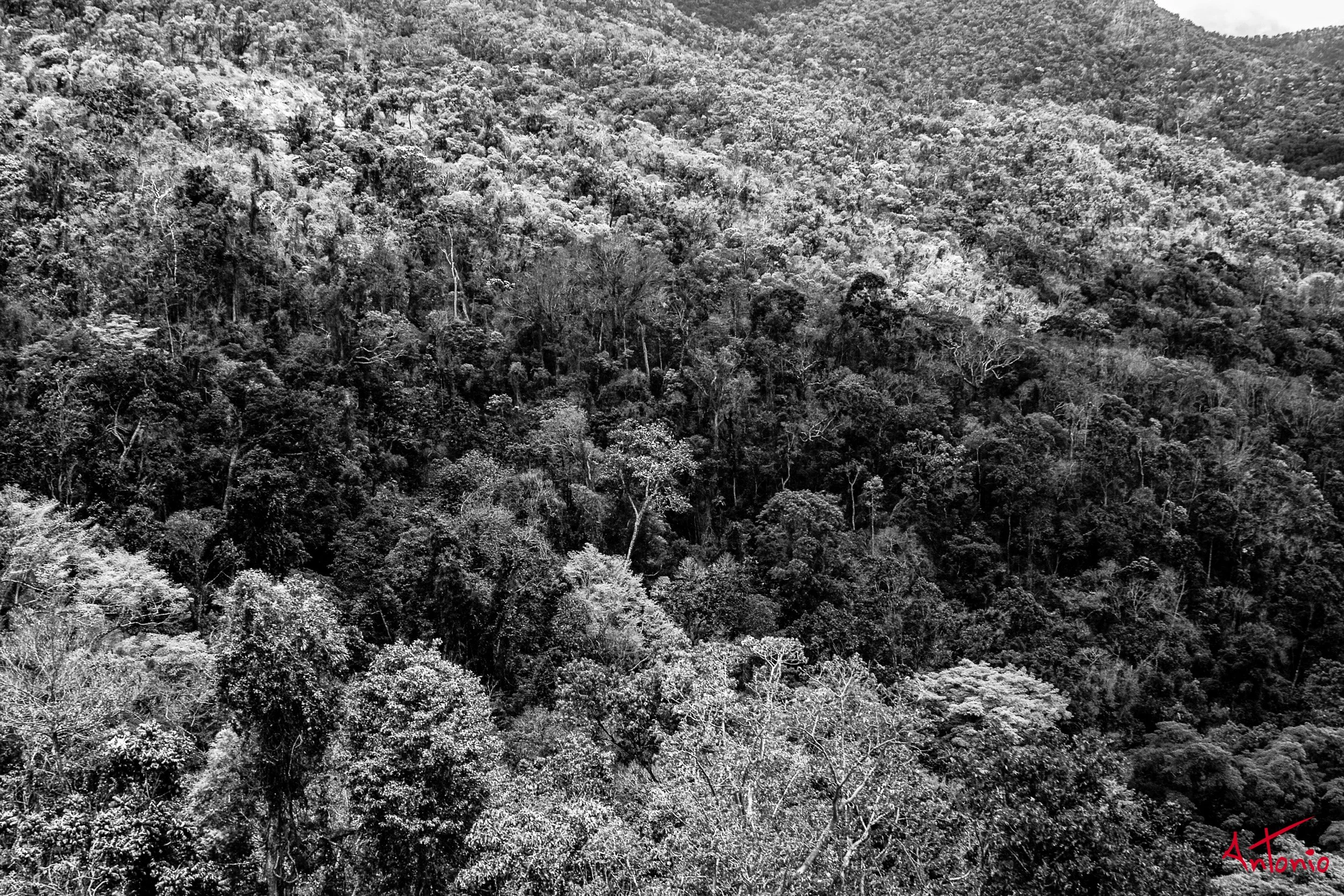 20031126_123037 Cairns.jpg