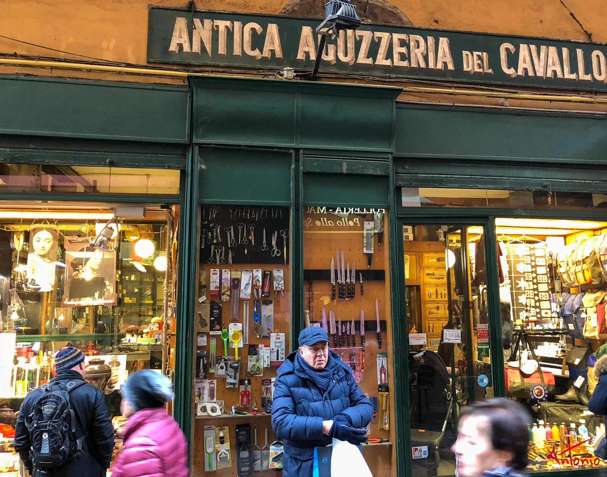 20180127_114510 Bologna.jpg
