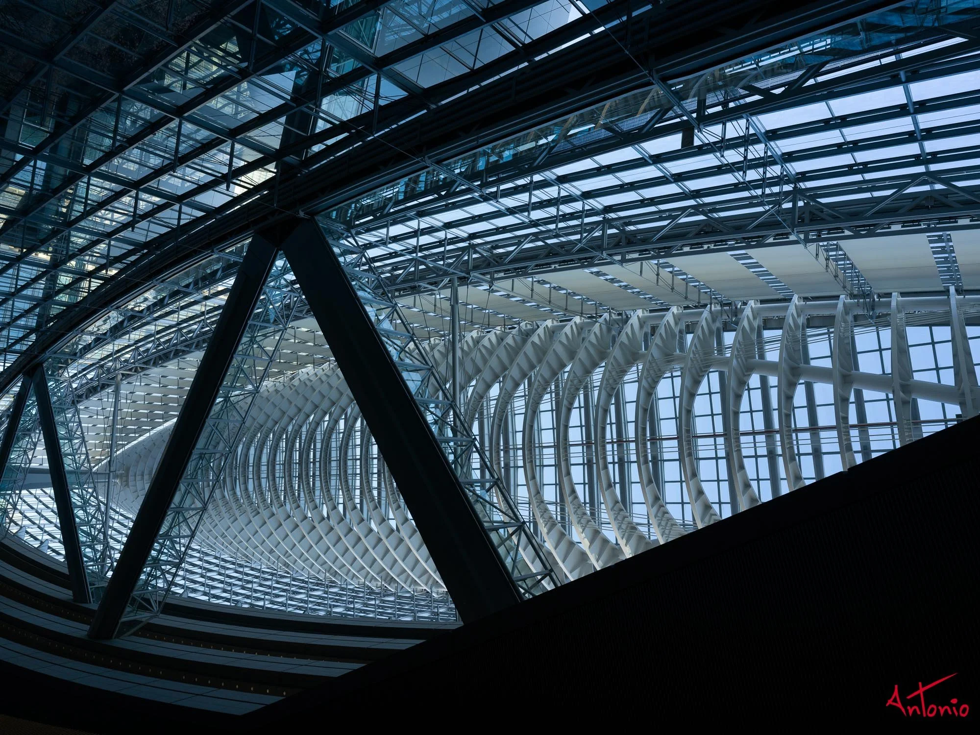 20240123_145352 B0002319 Tokyo.jpg