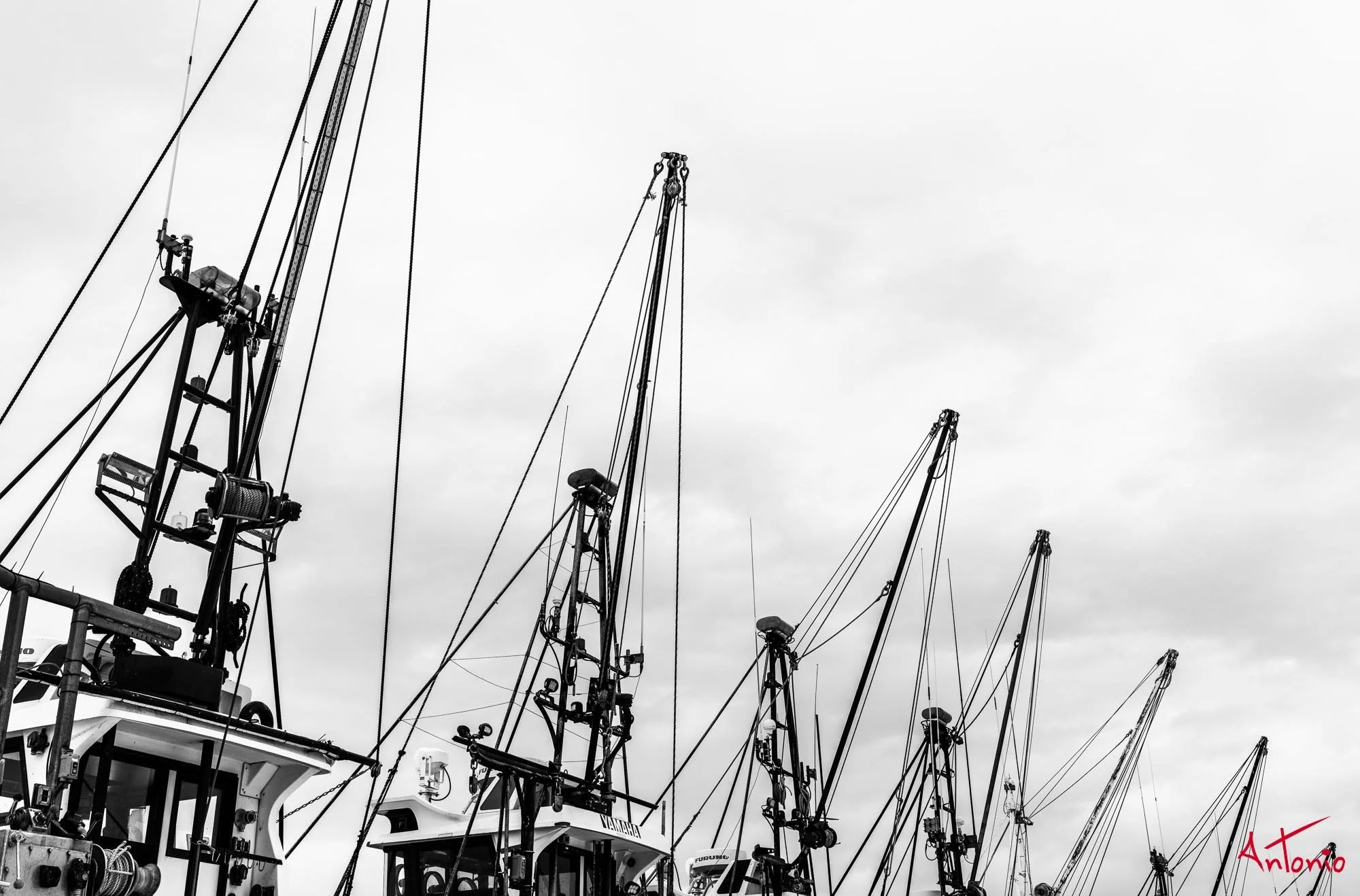 20240117_154857 B0004742 Hokaido.jpg