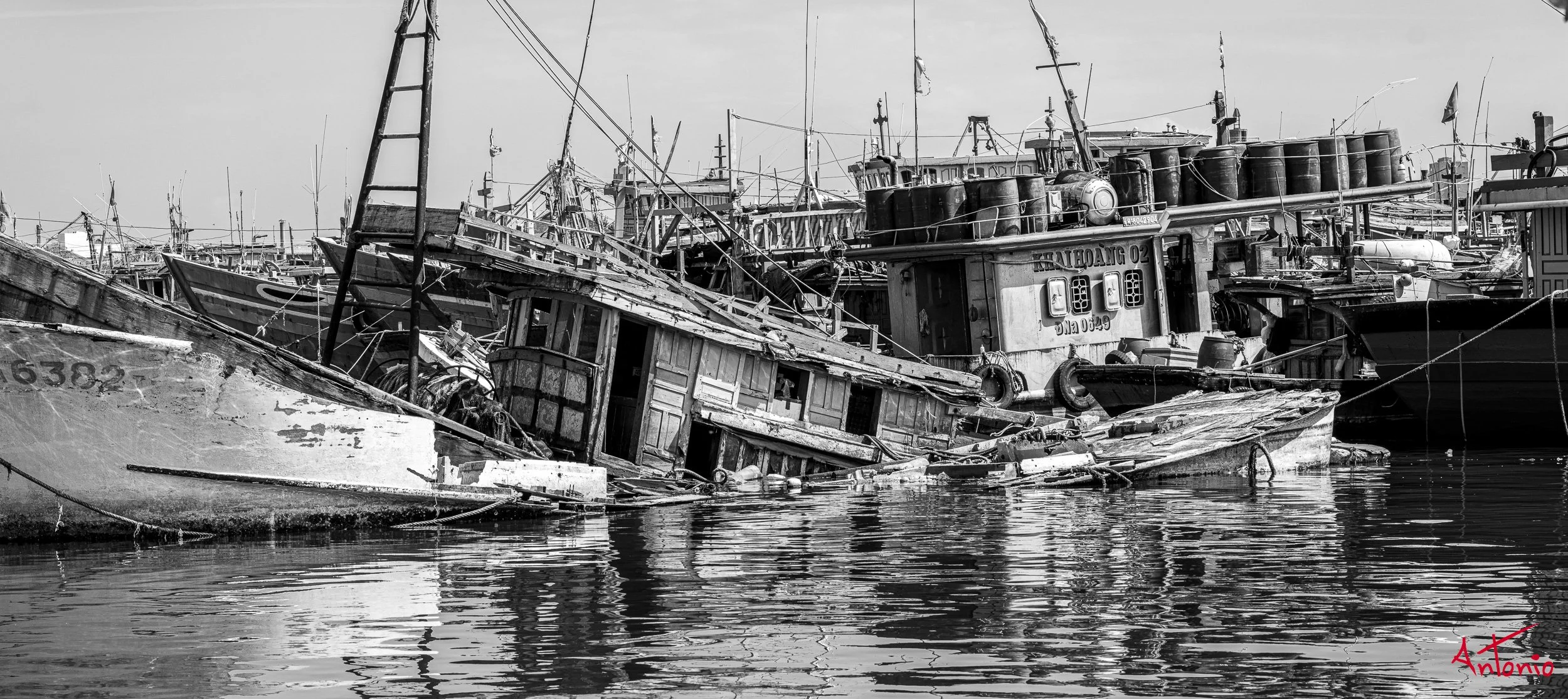 20260129_131742 B0010481 Da Nang, Vietnam.jpg