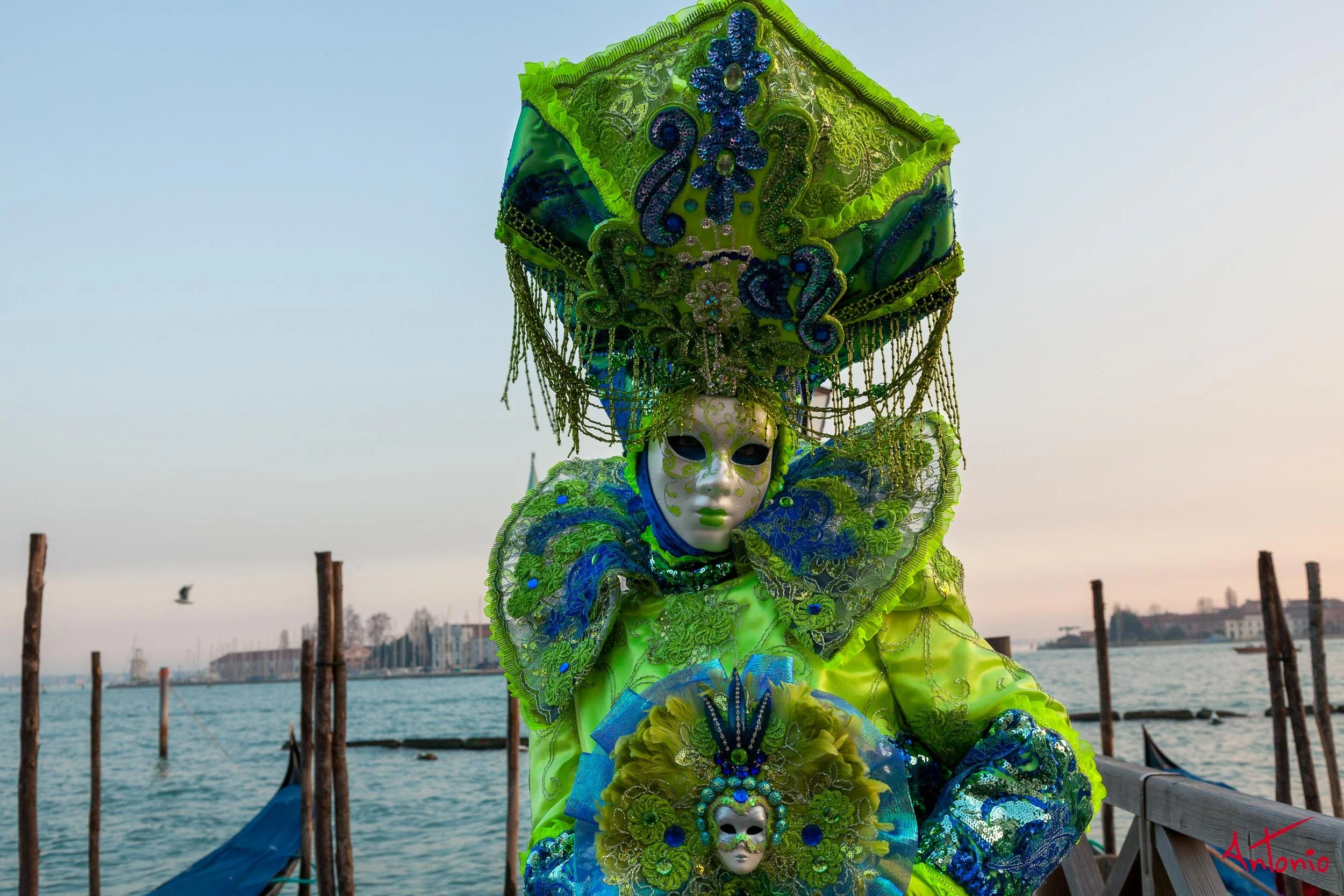 20120216_171521 Carnaval de venecia.jpg