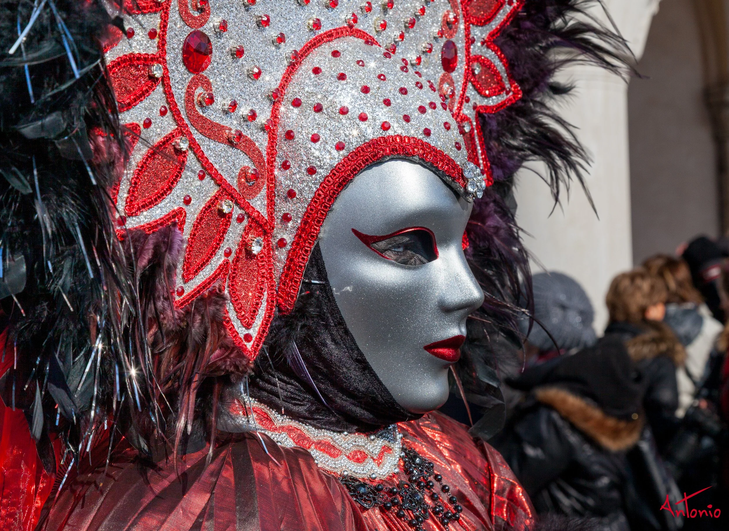 20120217_103114 Carnaval de venecia.jpg