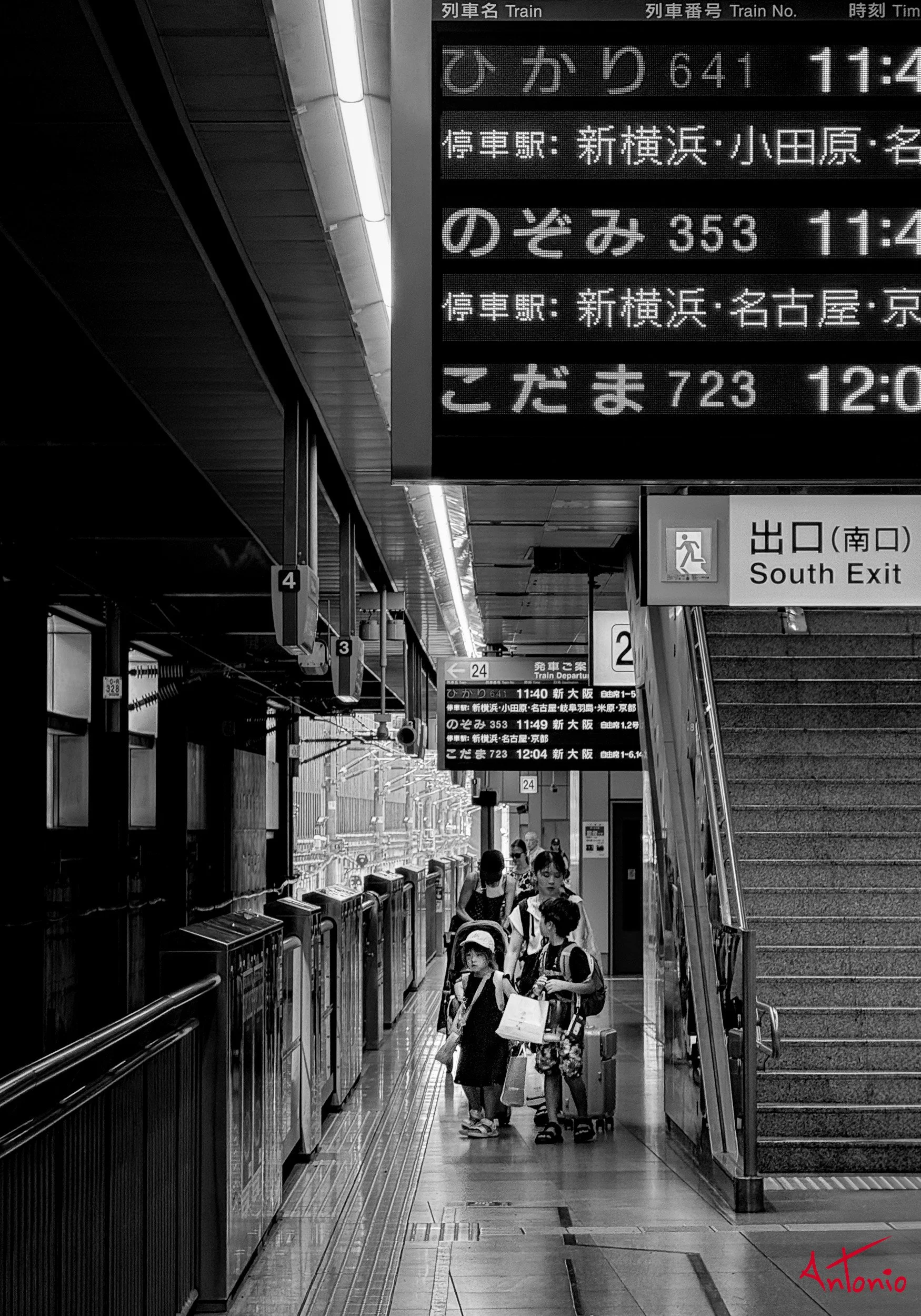 20250724_113644 Tokyo, Japan.jpg