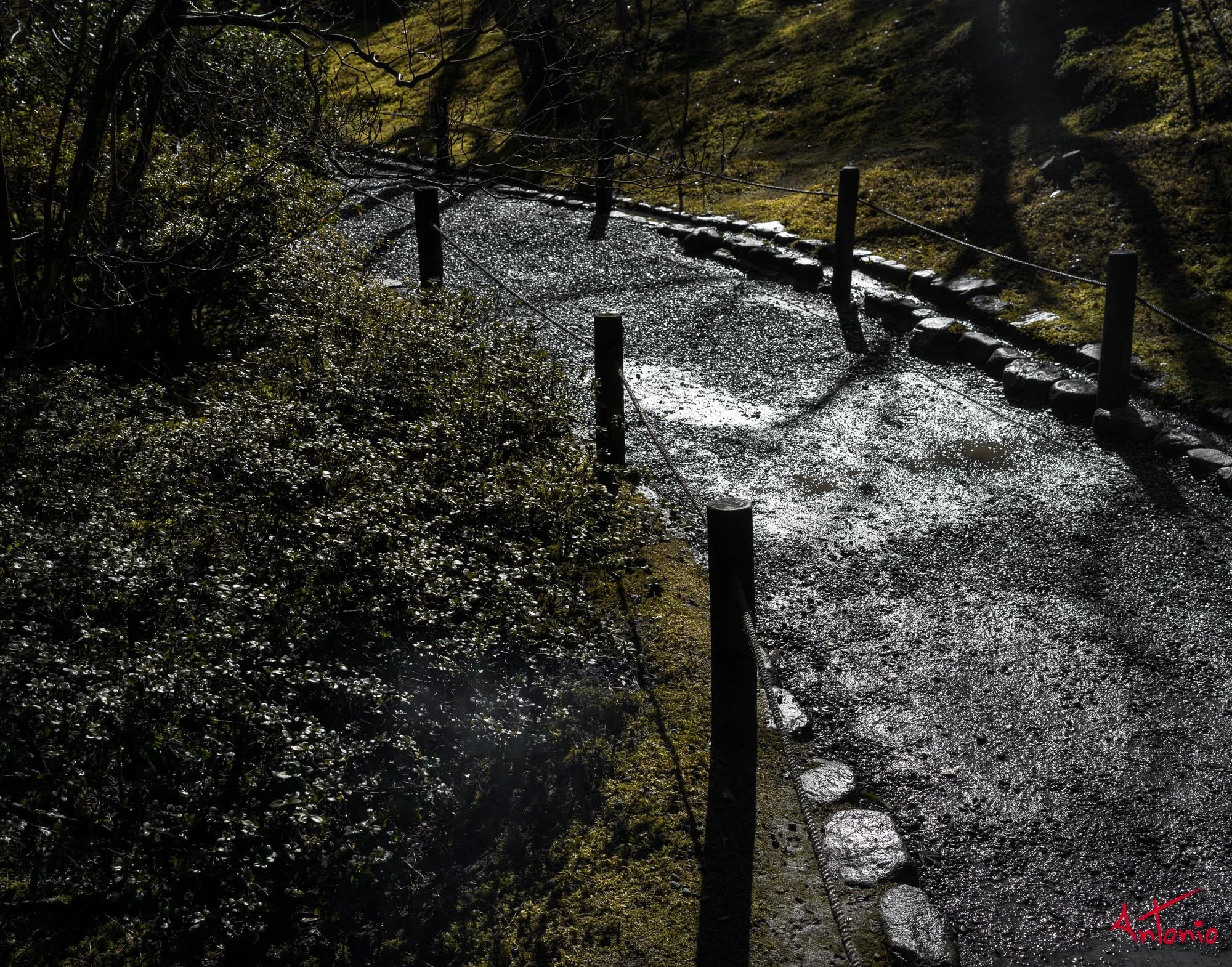 20240104_115551 B0001862 Kyoto.jpg