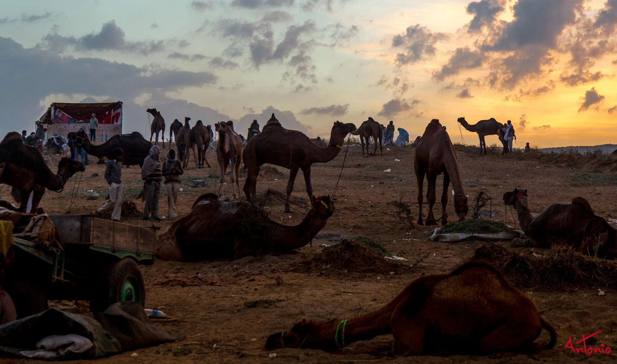 20121124_064630 Pushkar.jpg