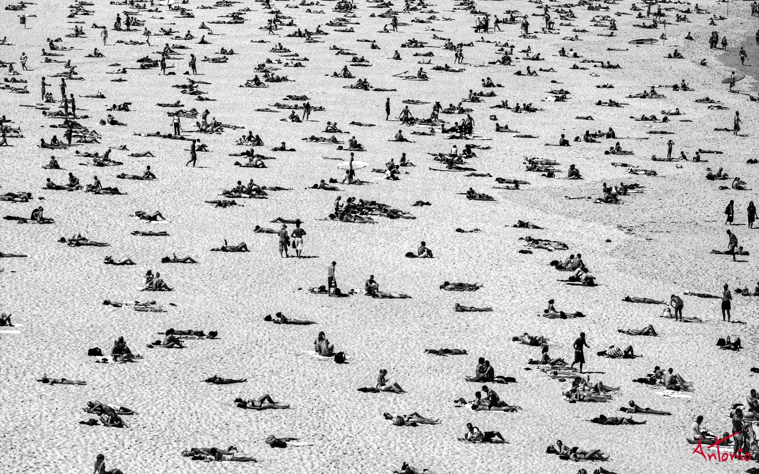 20031119_144651 Sydney.jpg