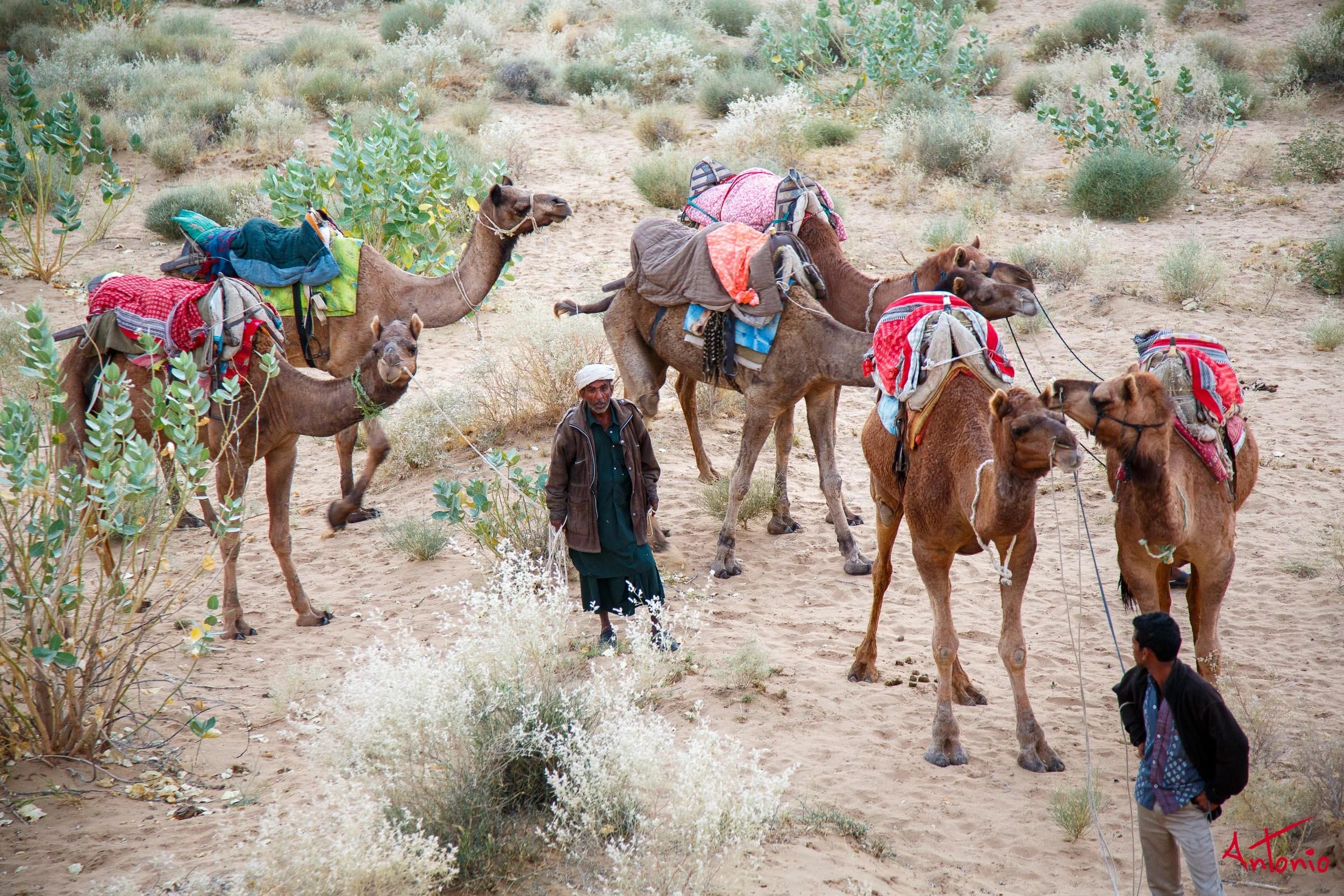 20121121_174651 India_Delhi_Jodhpur_Jamba.jpg