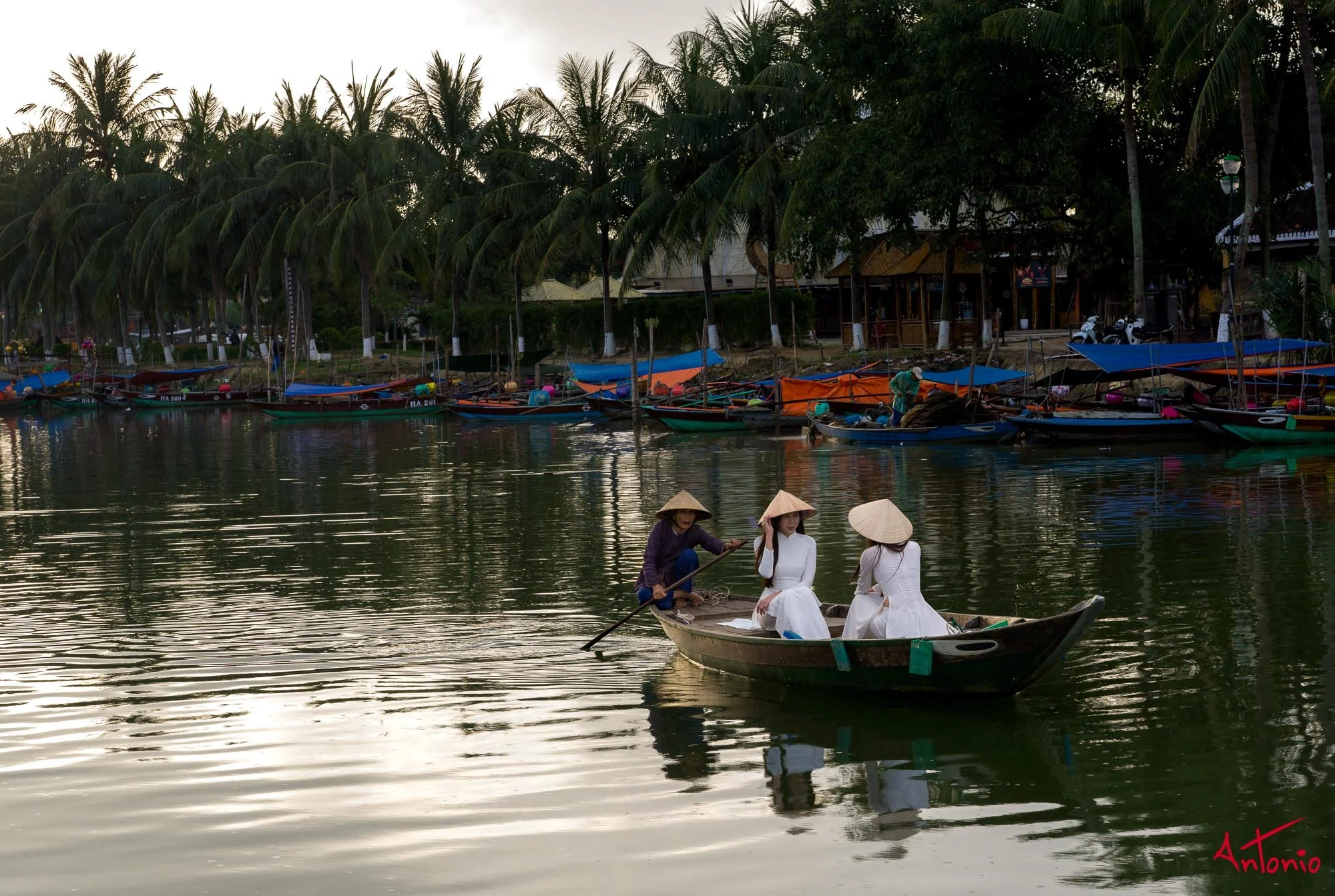 20260128_070908 B0009444 Hoi An, Vietnam.jpg