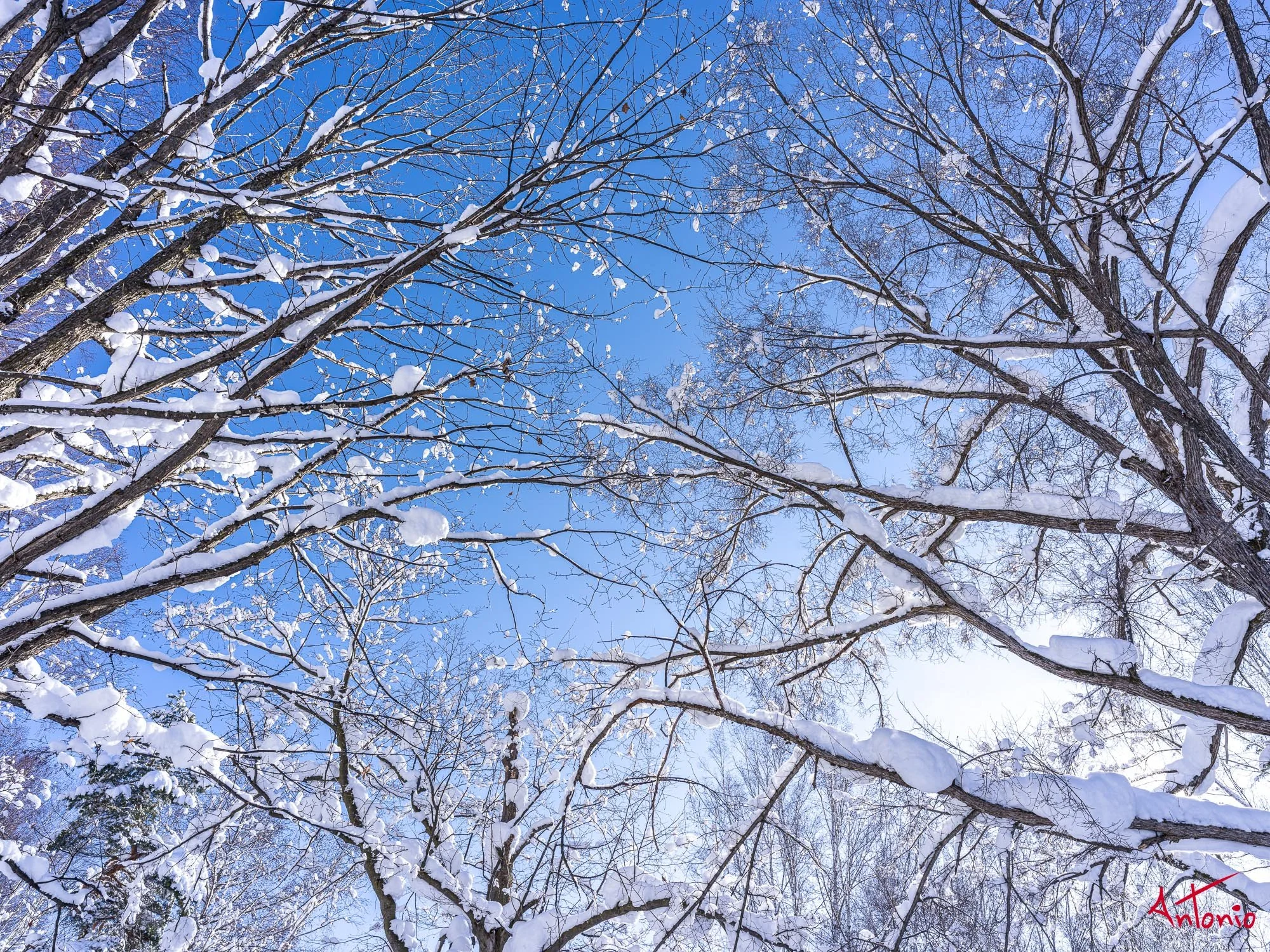 20240108_113225 B0002907 Hokaido.jpg