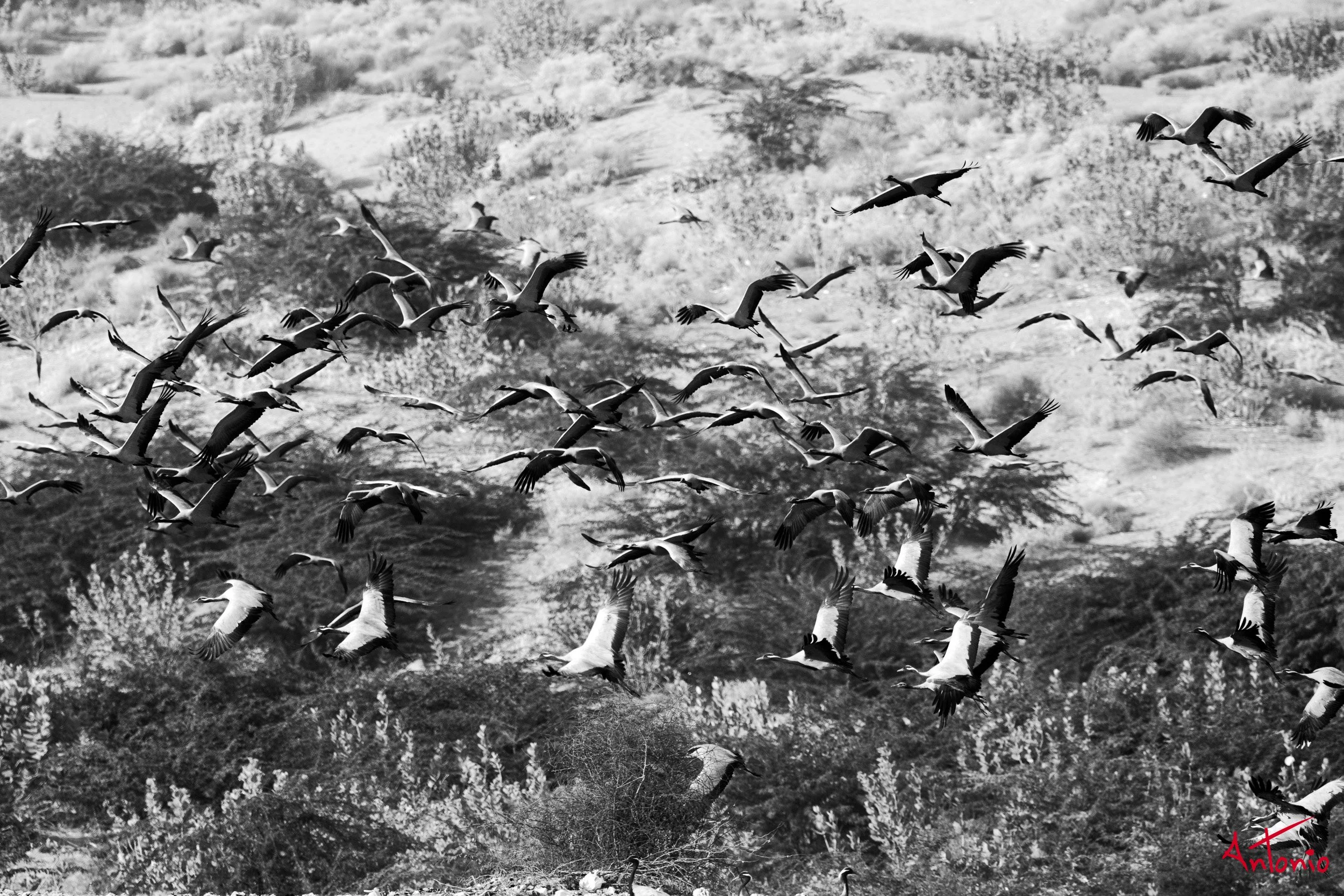 20121122_084537 India_Jamba.jpg