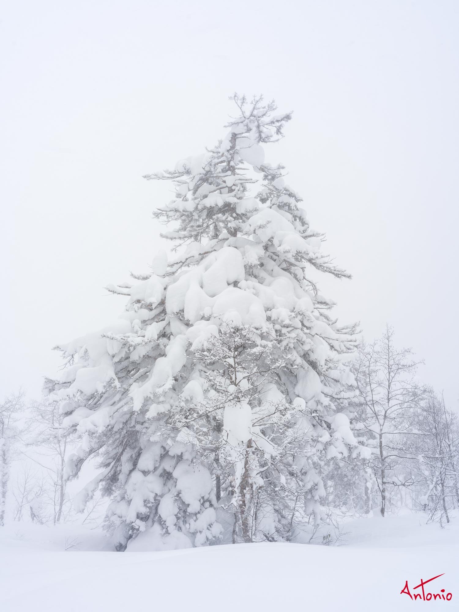 20240110_121403 B0003337 Hokaido.jpg